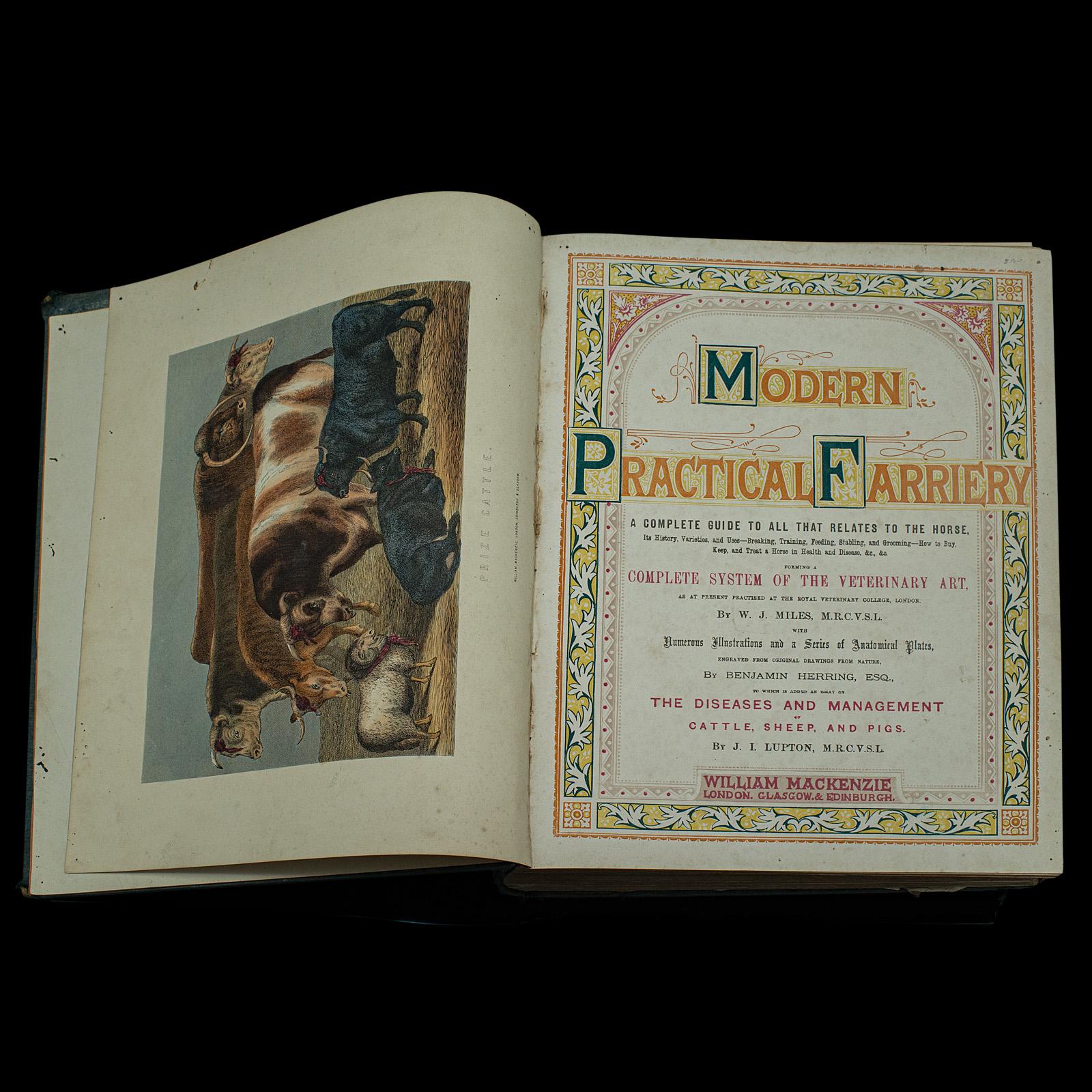 British Large Antique Book, Modern Practical Farriery, WJ Miles, English, Circa 1900 For Sale