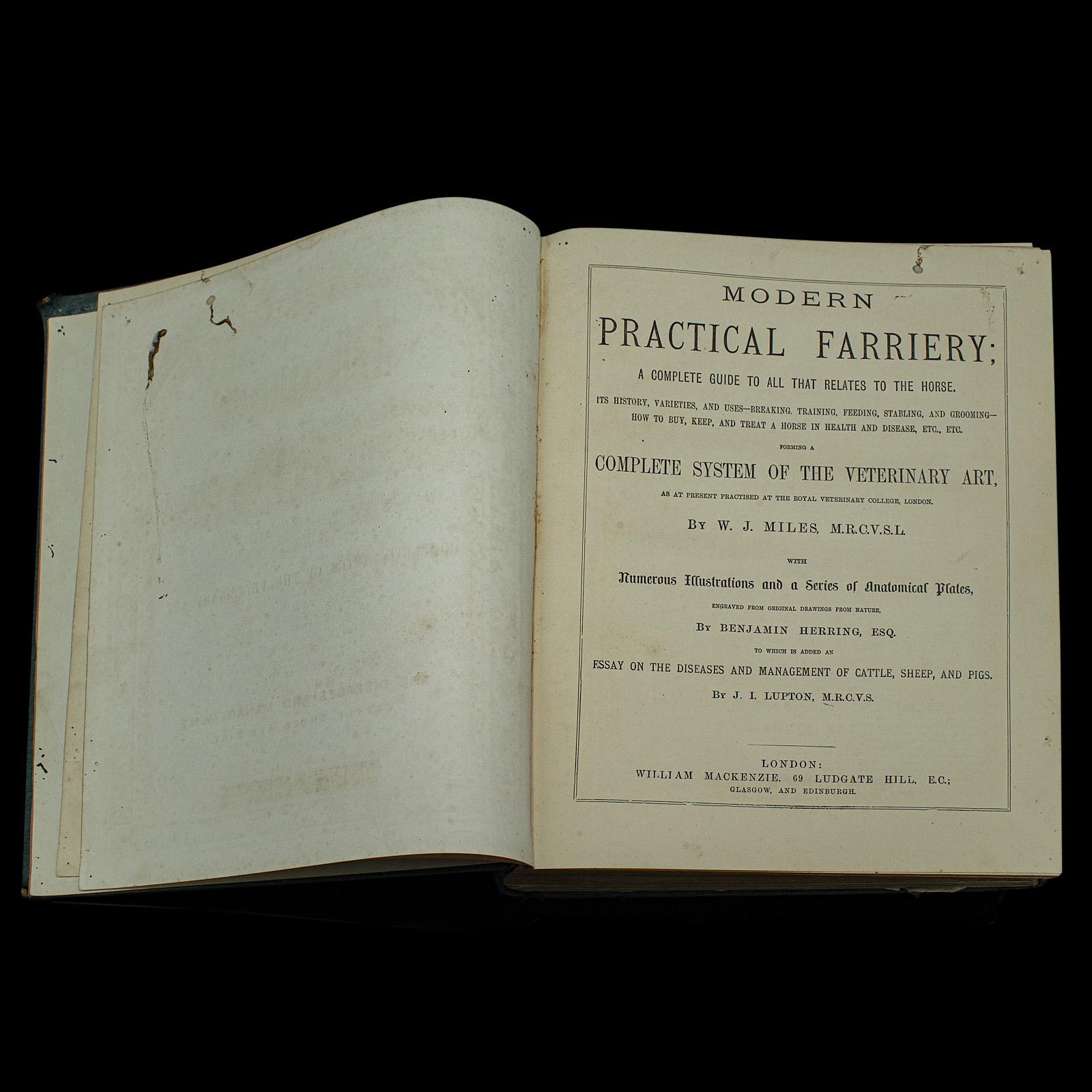 Large Antique Book, Modern Practical Farriery, WJ Miles, English, Circa 1900 In Good Condition For Sale In Hele, Devon, GB