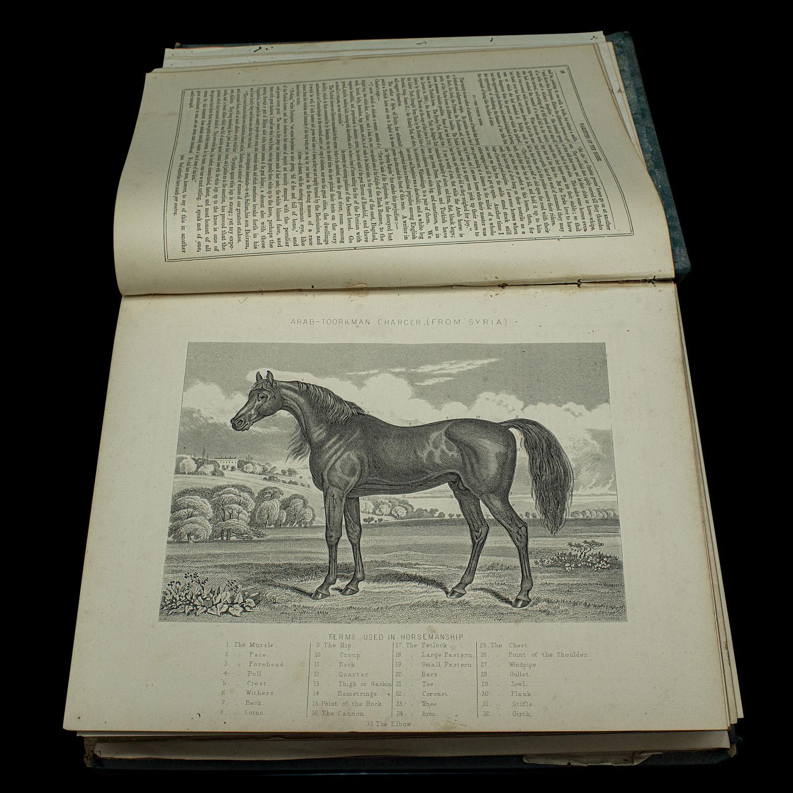 20th Century Large Antique Book, Modern Practical Farriery, WJ Miles, English, Circa 1900 For Sale