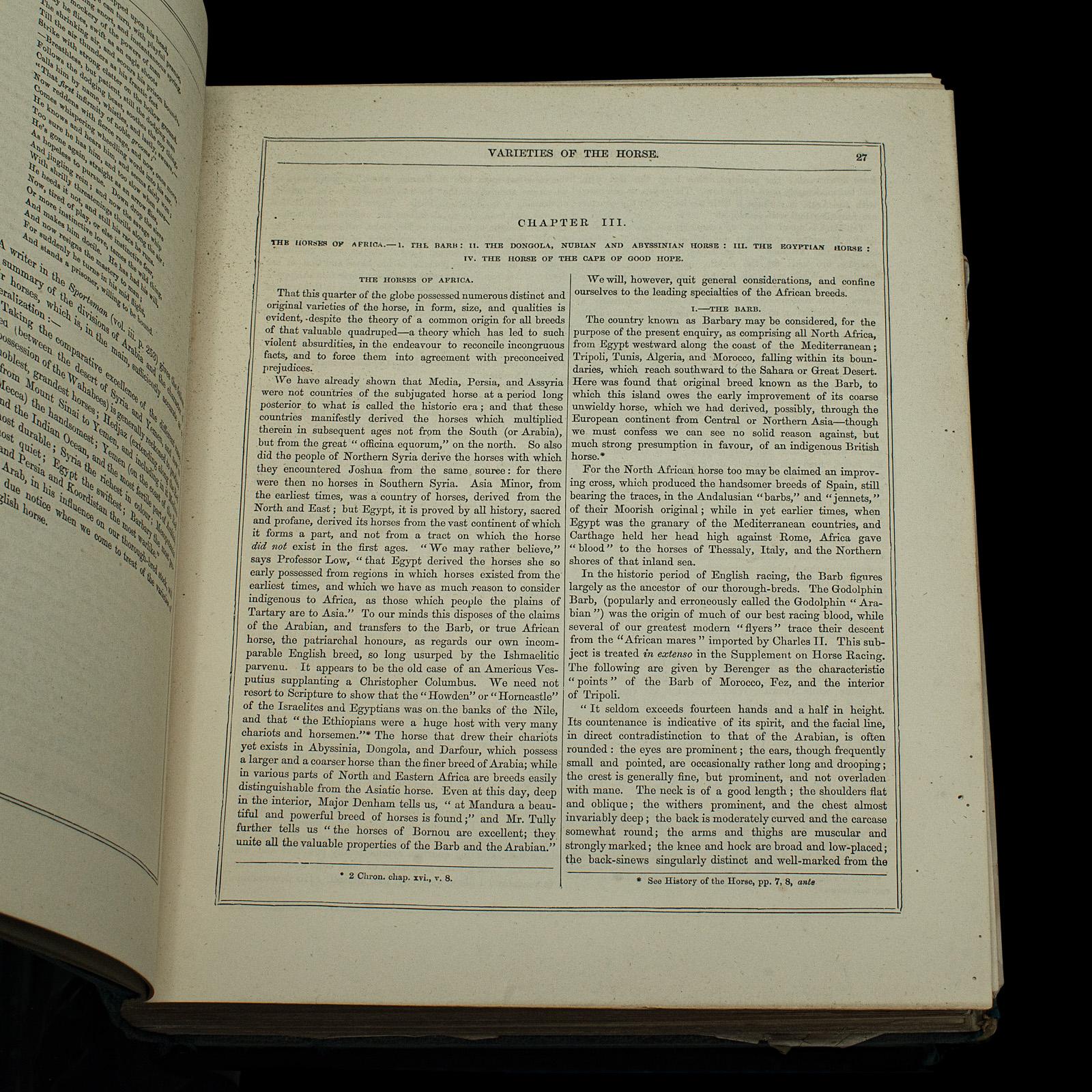Papier Grand livre ancien, Modern Practical Farriery, WJ Miles, anglais, vers 1900 en vente