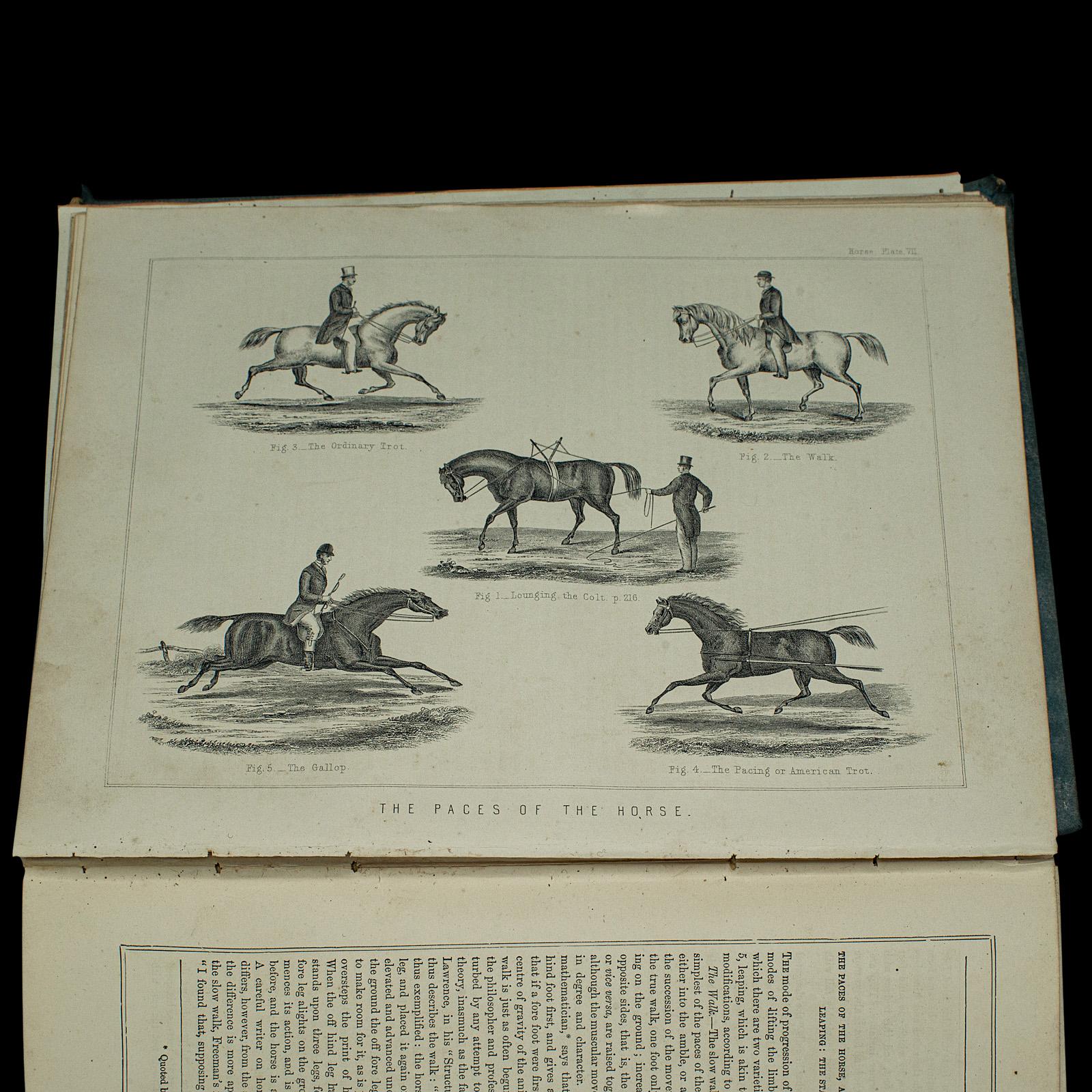 Large Antique Book, Modern Practical Farriery, WJ Miles, English, Circa 1900 For Sale 1