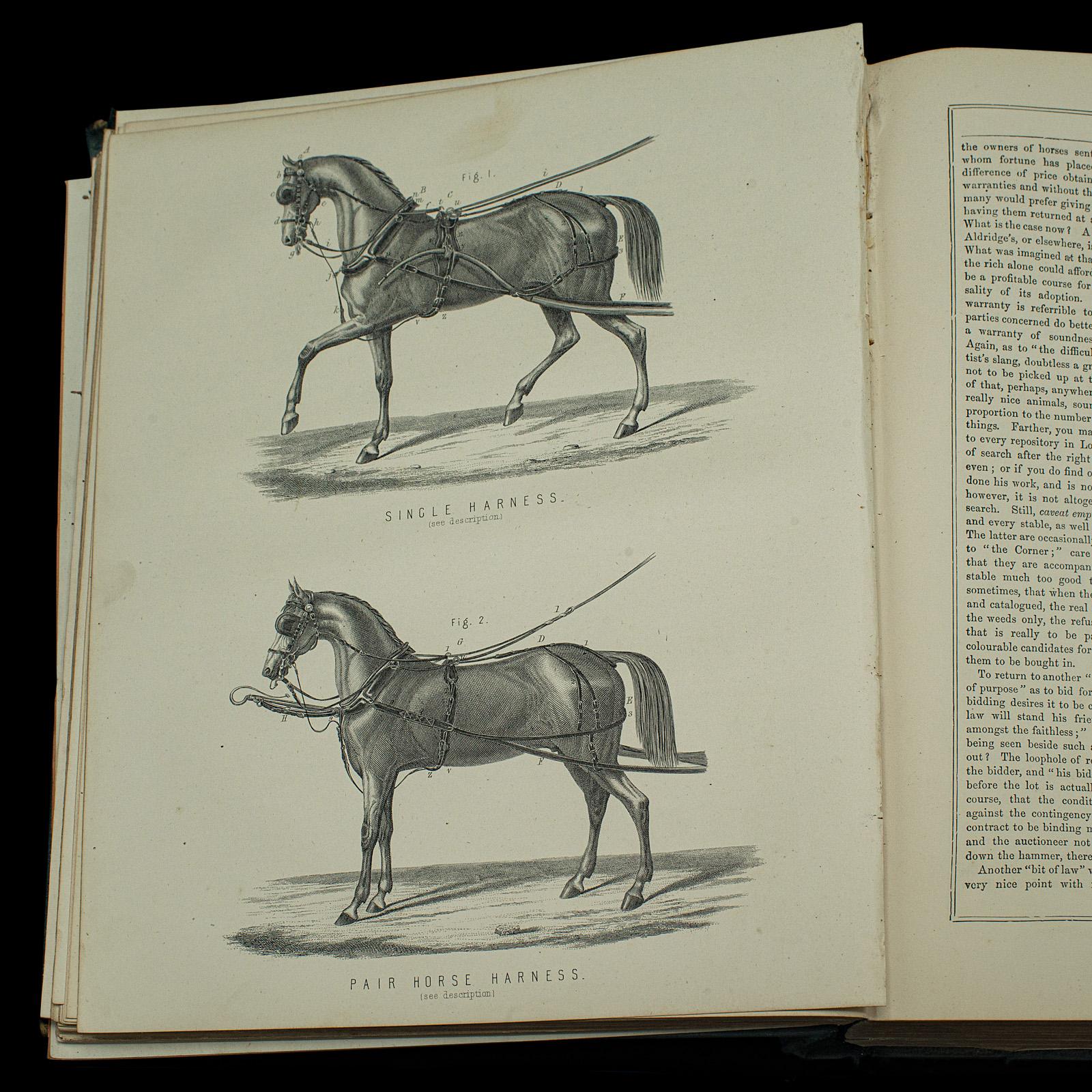 Large Antique Book, Modern Practical Farriery, WJ Miles, English, Circa 1900 For Sale 2