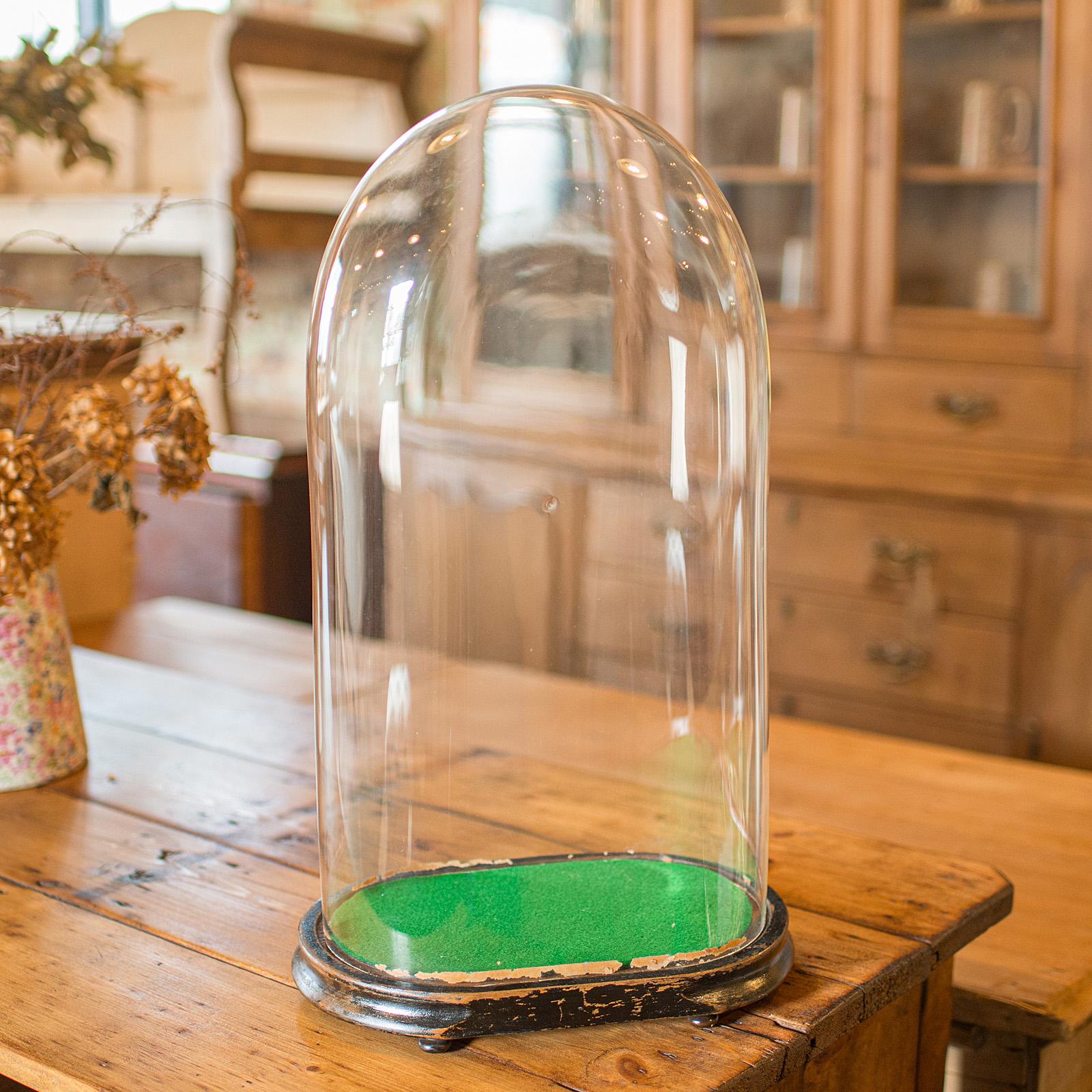Late Victorian Large Antique Botany Display Dome, English, Glass, Specimen Showcase, Victorian For Sale