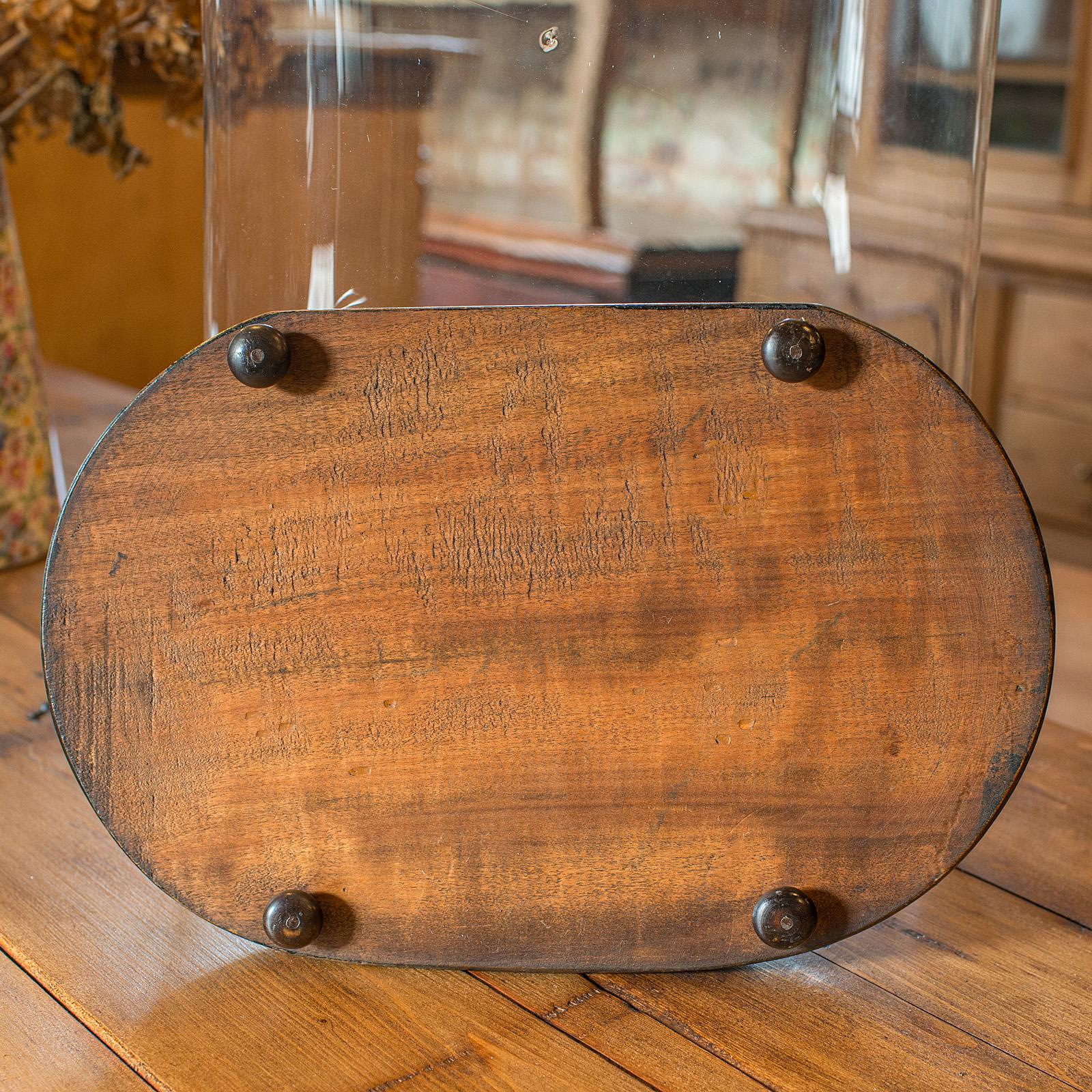 Large Antique Botany Display Dome, English, Glass, Specimen Showcase, Victorian For Sale 1
