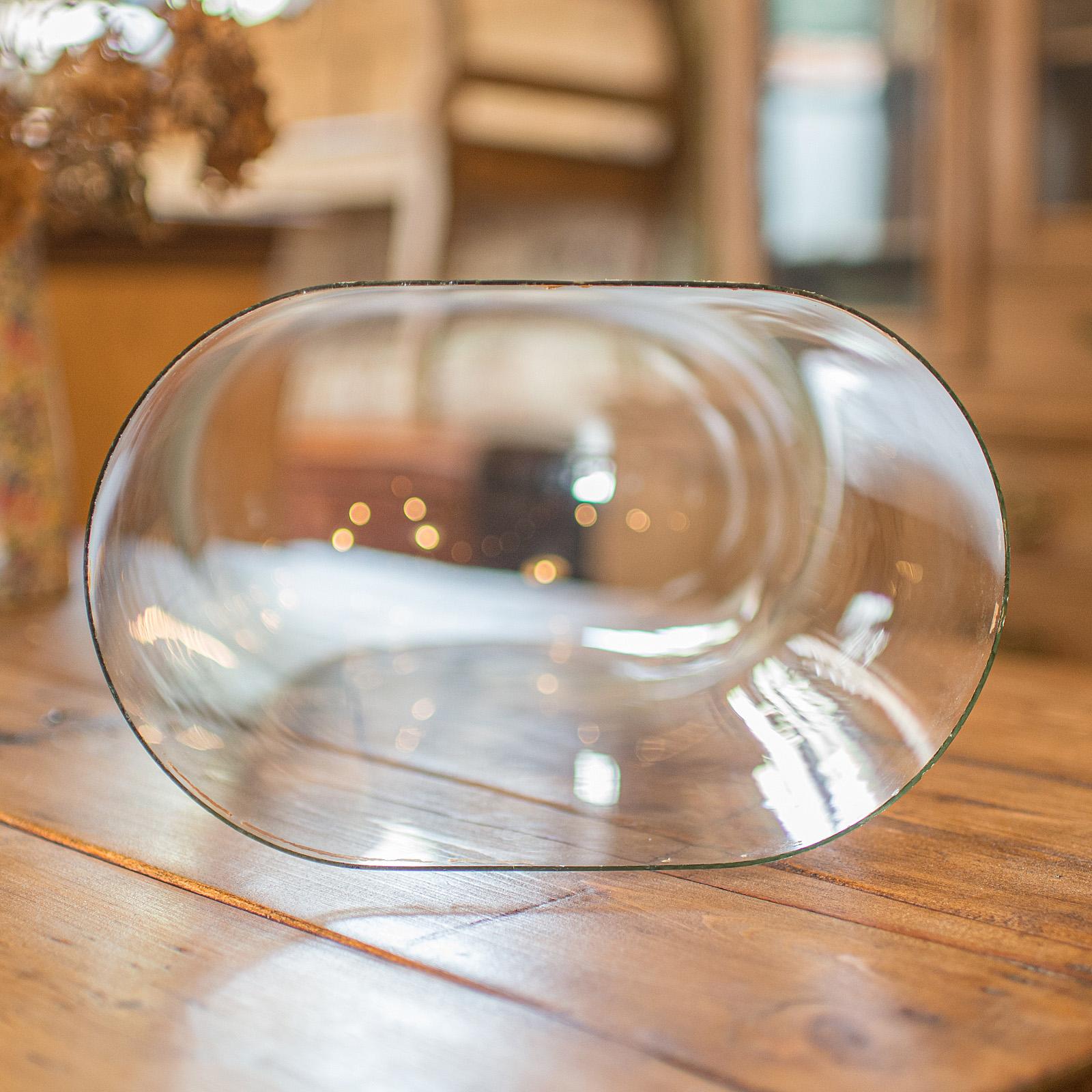 Large Antique Botany Display Dome, English, Glass, Specimen Showcase, Victorian For Sale 2