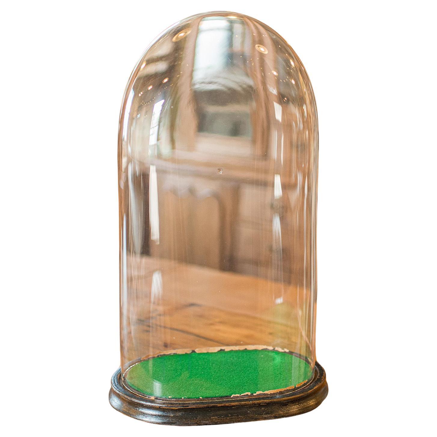 Large Antique Botany Display Dome, English, Glass, Specimen Showcase, Victorian