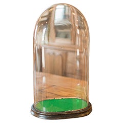 Grande cupola da esposizione botanica antica, inglese, vetro, vetrina per esemplari, vittoriana