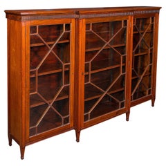 Grande bibliothèque ancienne anglaise, cabinet, néo-géorgienne, victorienne