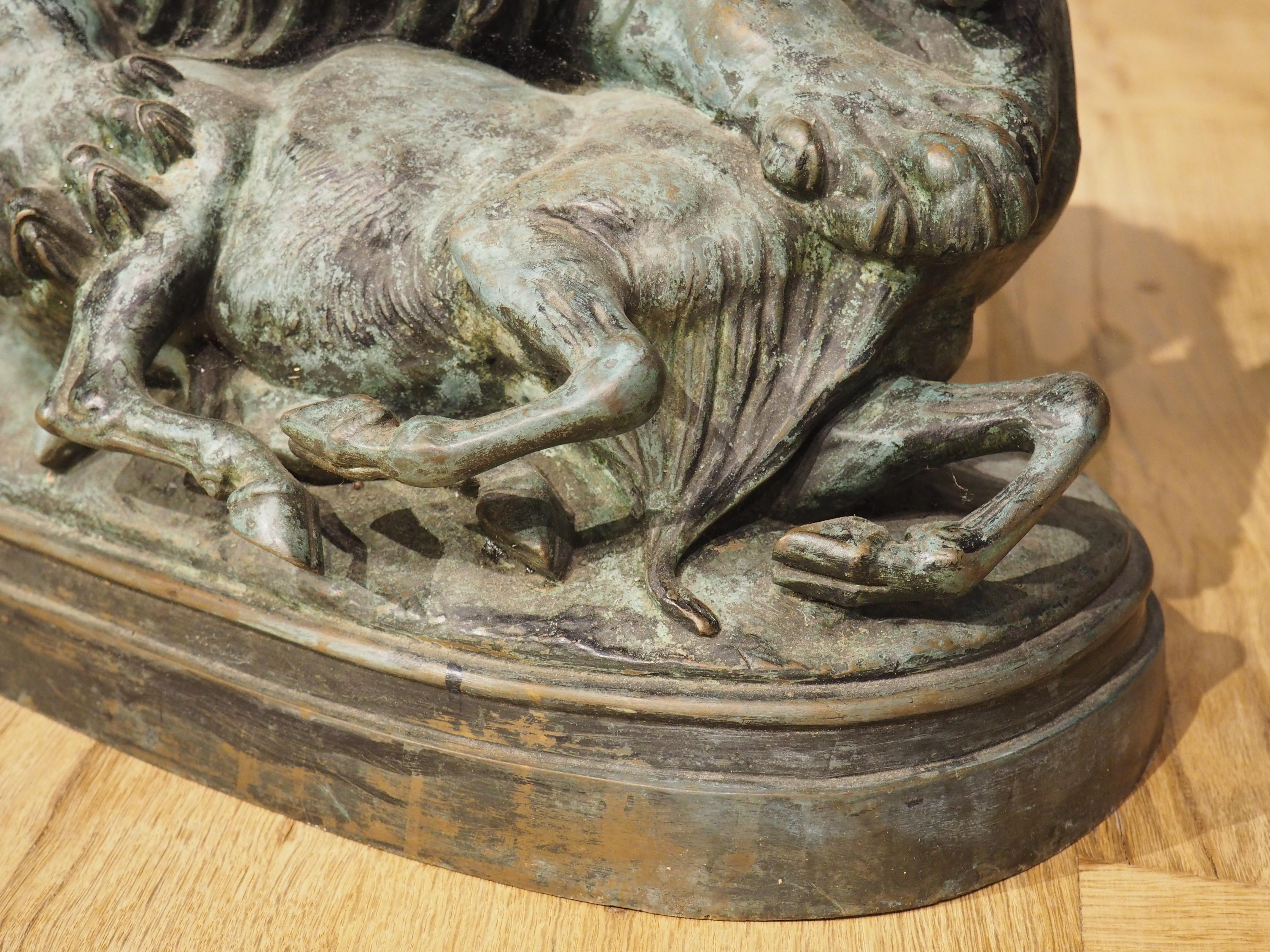 Grand bronze ancien, le lion du Senegal attachant une Antilope-Delabrierre 1866 4