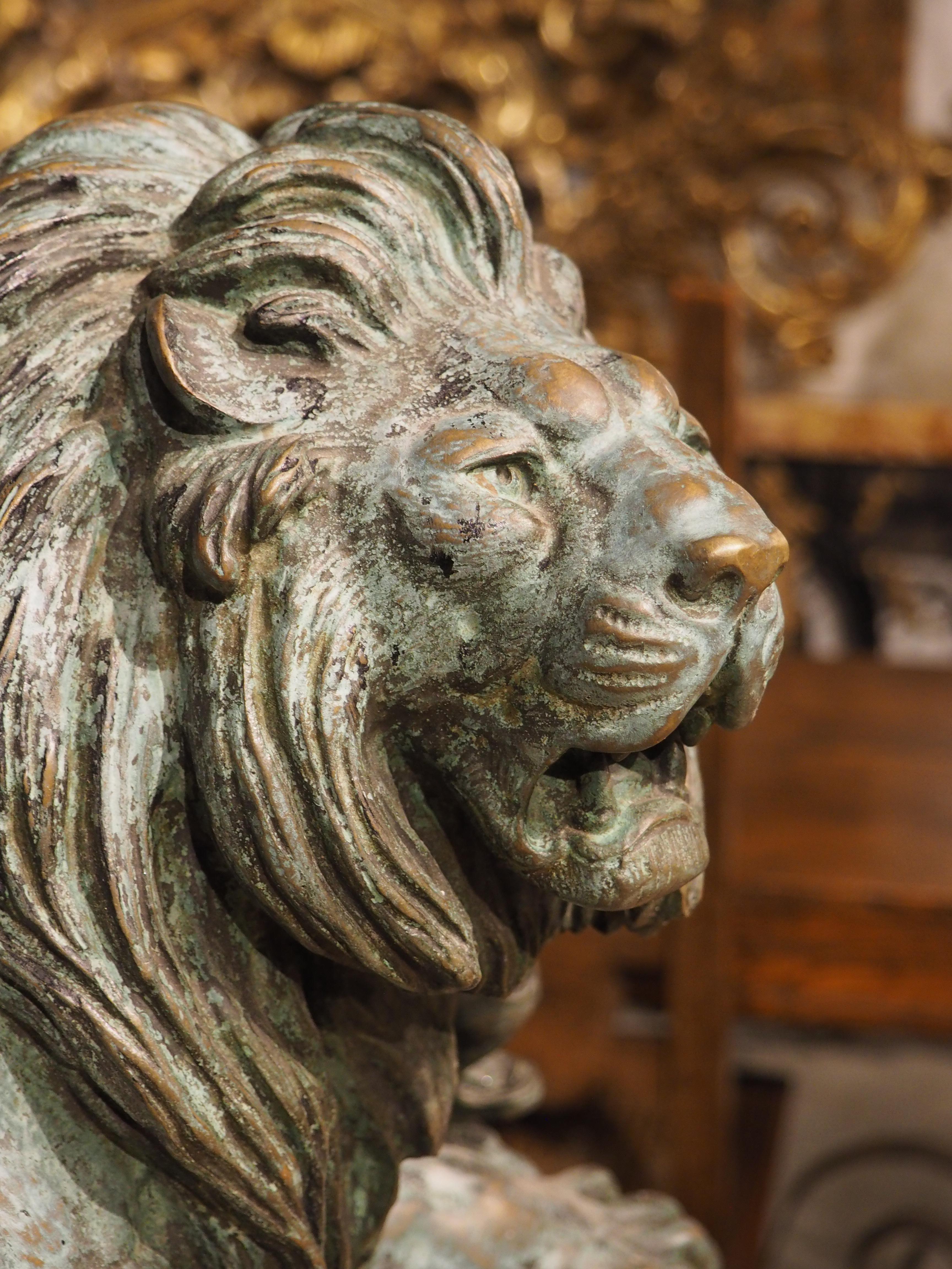 Grand bronze ancien, le lion du Senegal attachant une Antilope-Delabrierre 1866 5