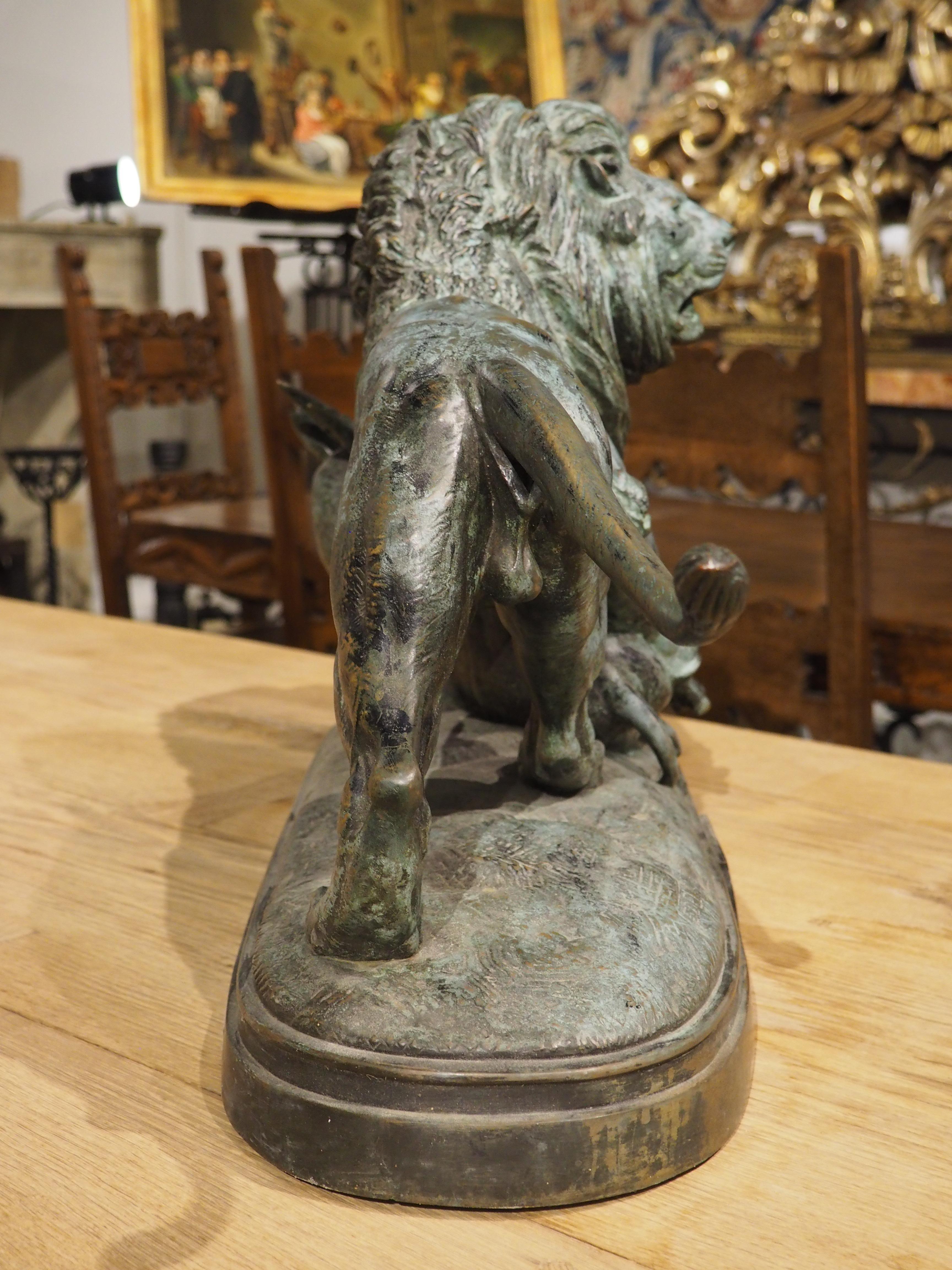 Grand bronze ancien, le lion du Senegal attachant une Antilope-Delabrierre 1866 8