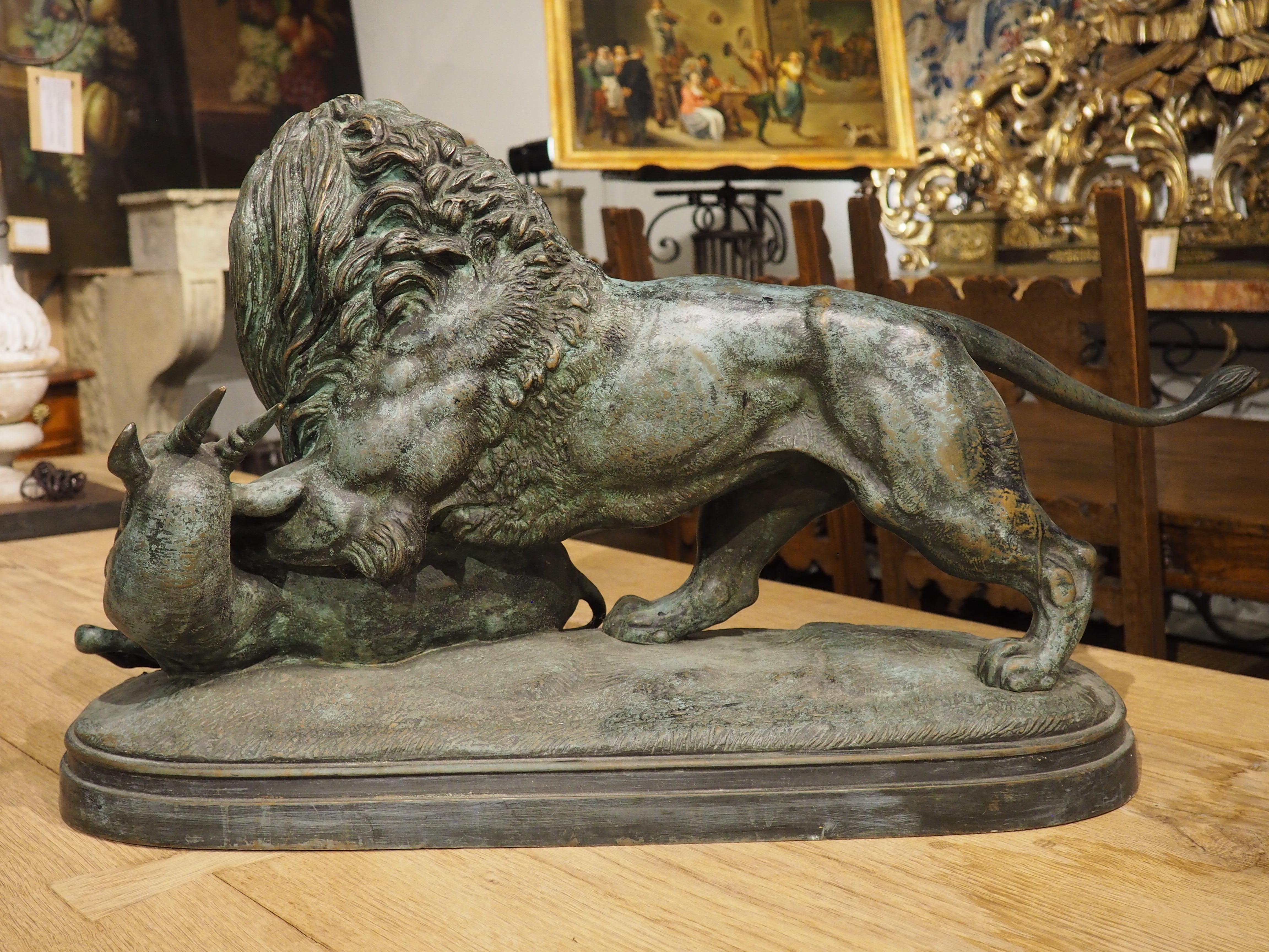Grand bronze ancien, le lion du Senegal attachant une Antilope-Delabrierre 1866 9