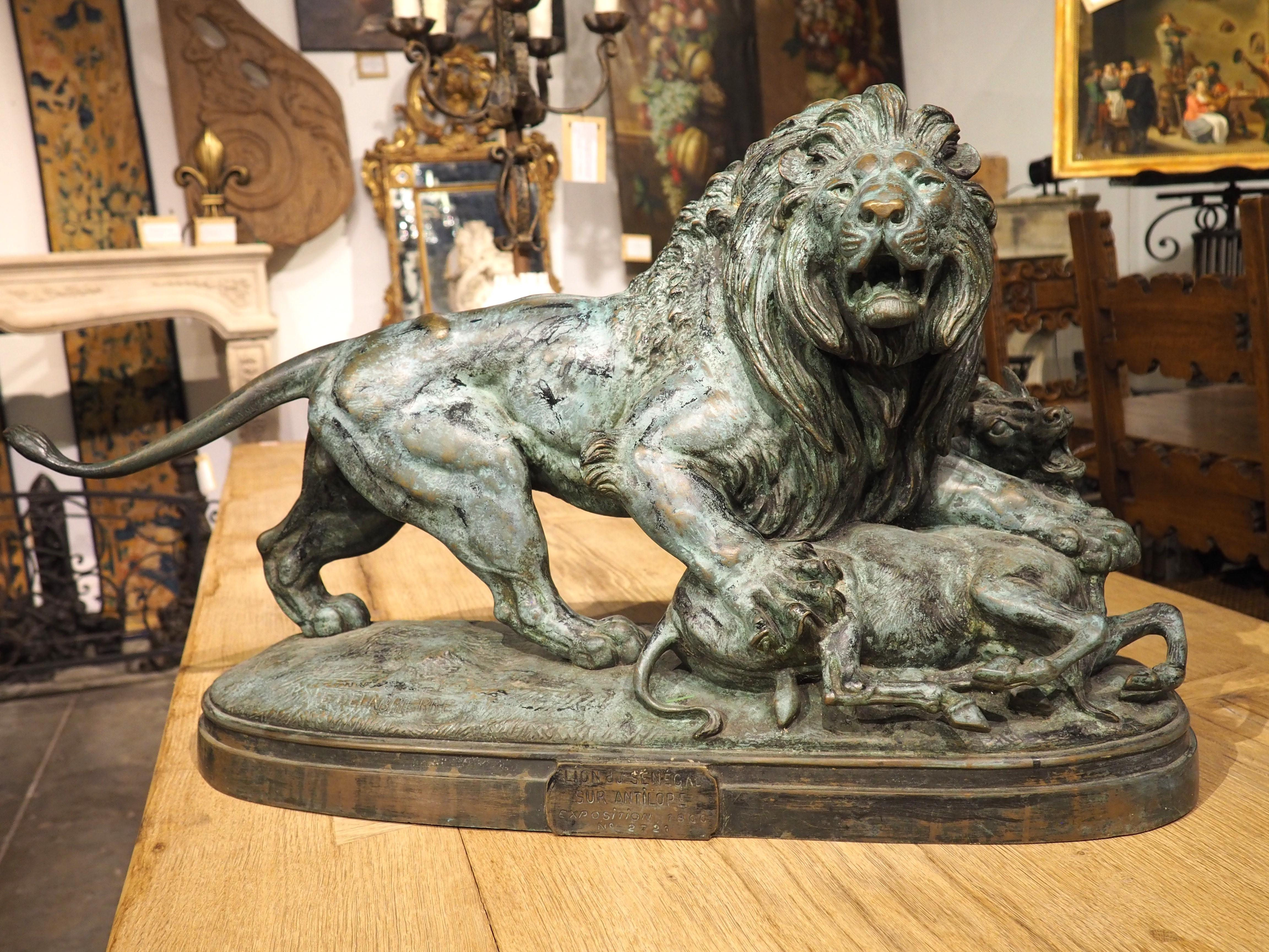 Français Grand bronze ancien, le lion du Senegal attachant une Antilope-Delabrierre 1866