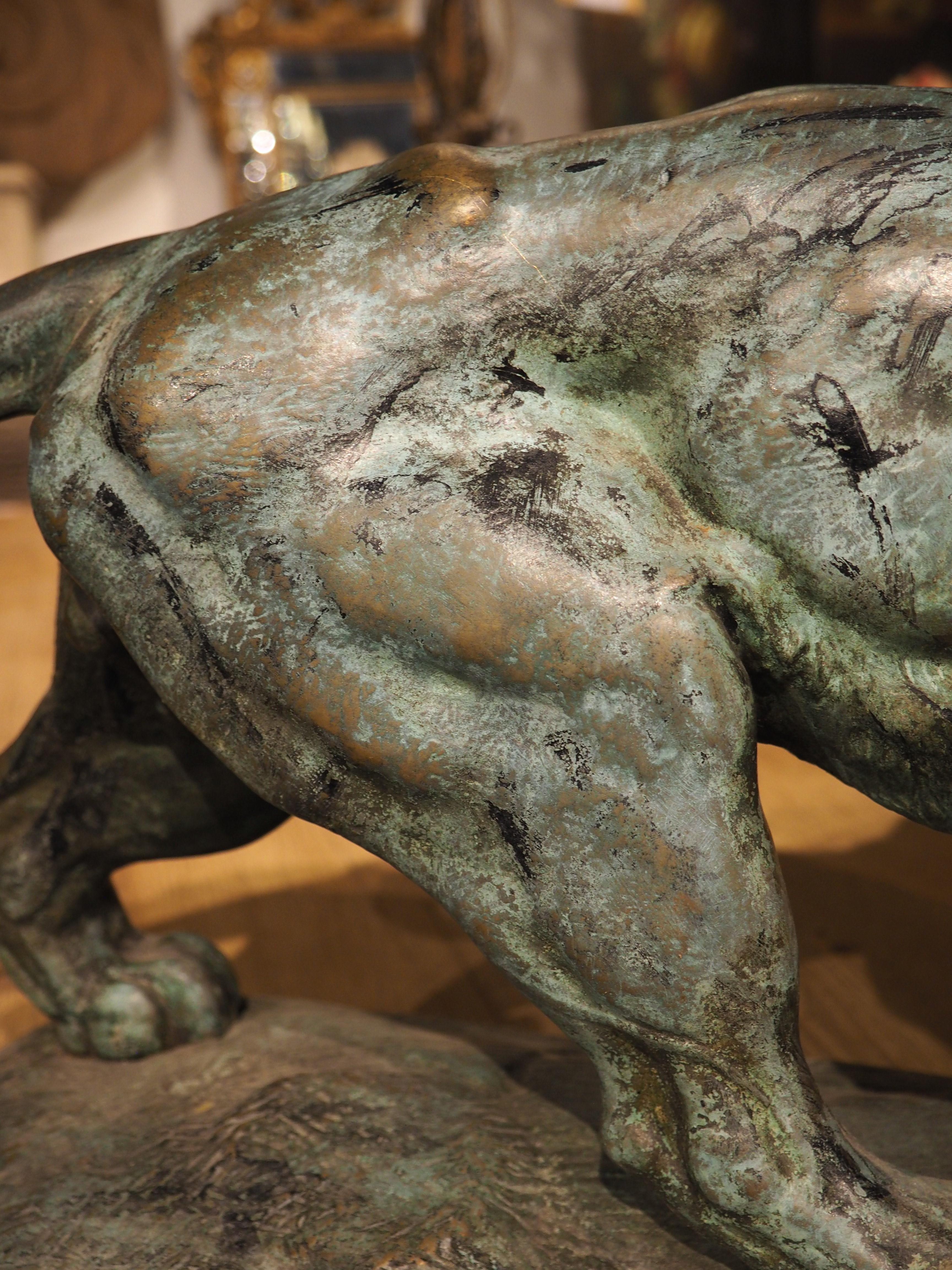 Métal Grand bronze ancien, le lion du Senegal attachant une Antilope-Delabrierre 1866