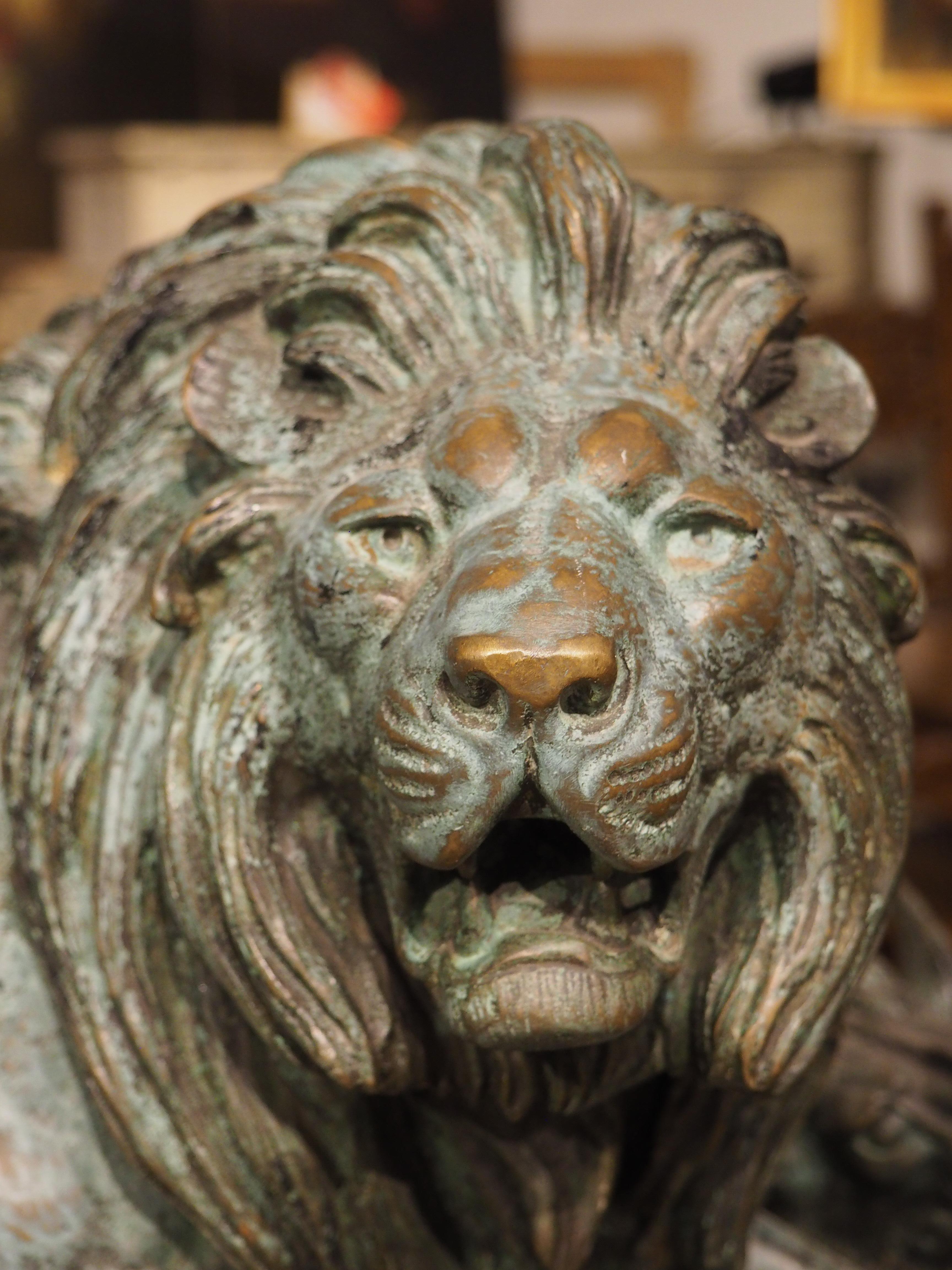 Grand bronze ancien, le lion du Senegal attachant une Antilope-Delabrierre 1866 1