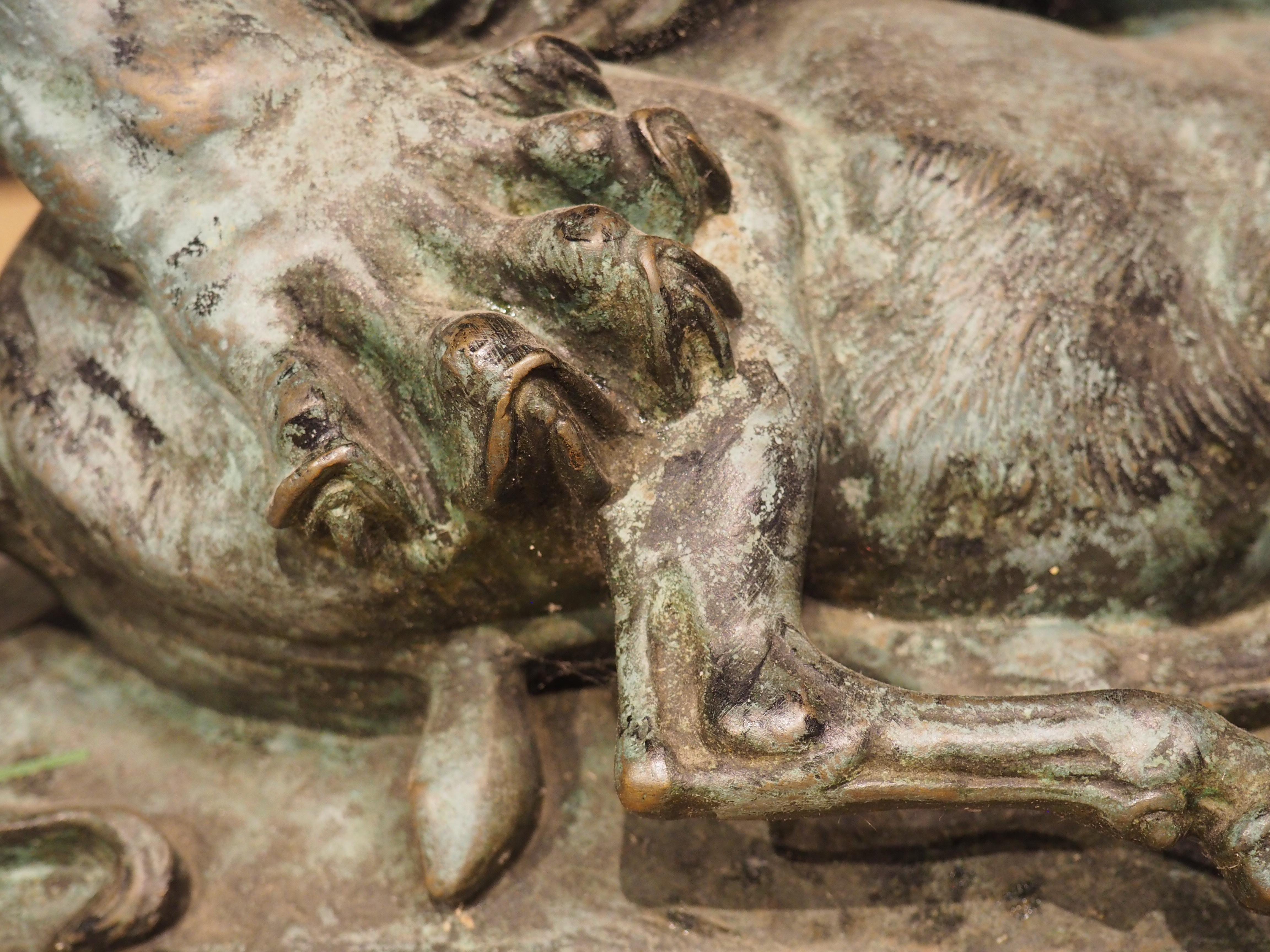 Grand bronze ancien, le lion du Senegal attachant une Antilope-Delabrierre 1866 2