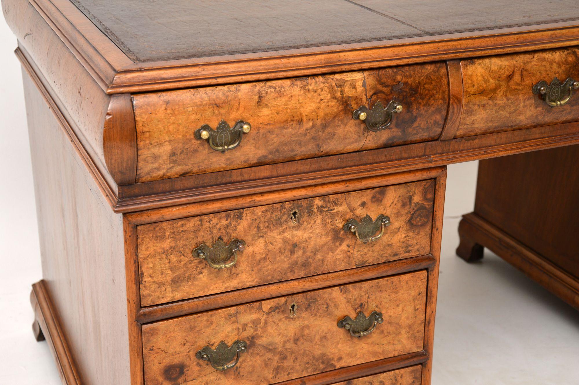 English Large Antique Burr Walnut Leather Top Pedestal Desk