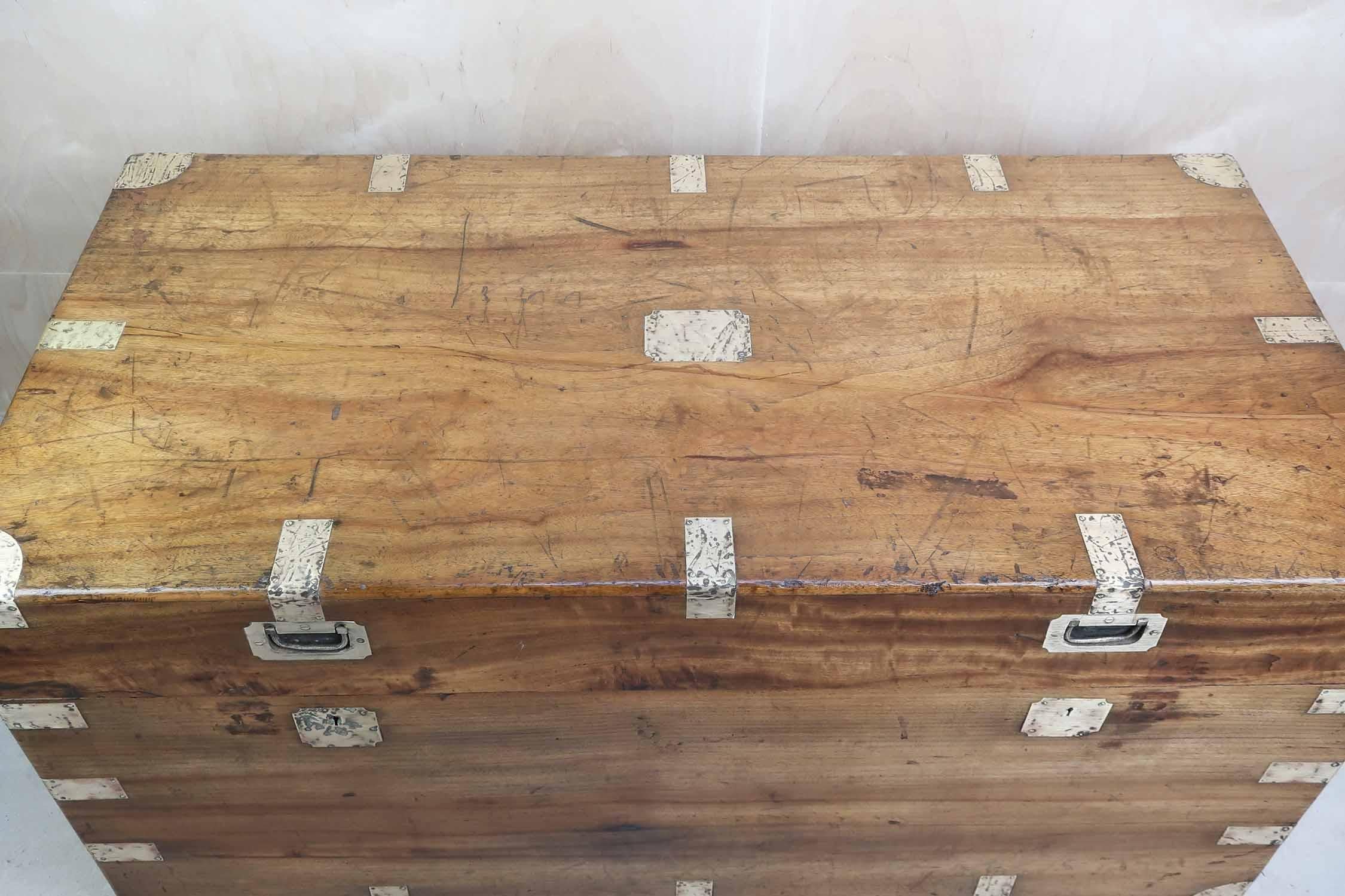 Lucidato Grande baule antico in legno di canfora, Hong Kong, XIX secolo in vendita