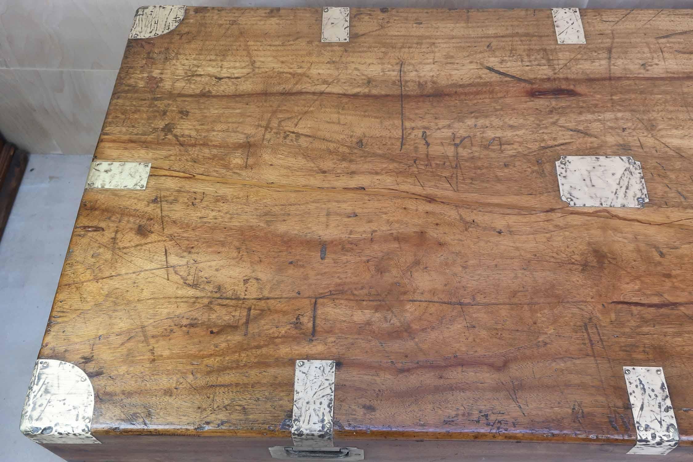 Grande baule antico in legno di canfora, Hong Kong, XIX secolo In condizioni buone in vendita a St Annes, Lancashire