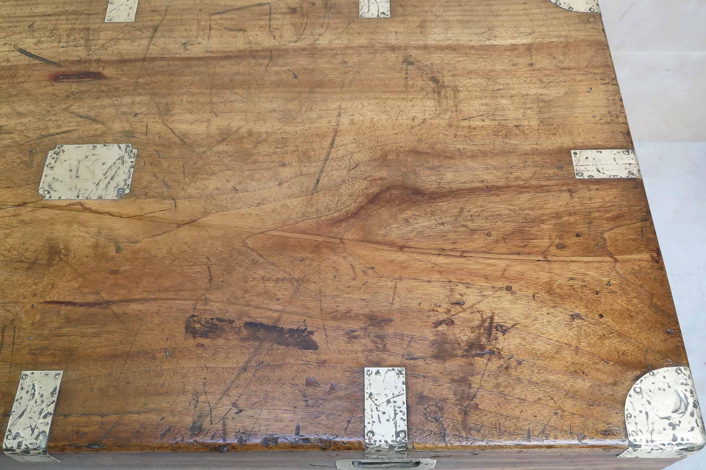Fine XIX secolo Grande baule antico in legno di canfora, Hong Kong, XIX secolo in vendita