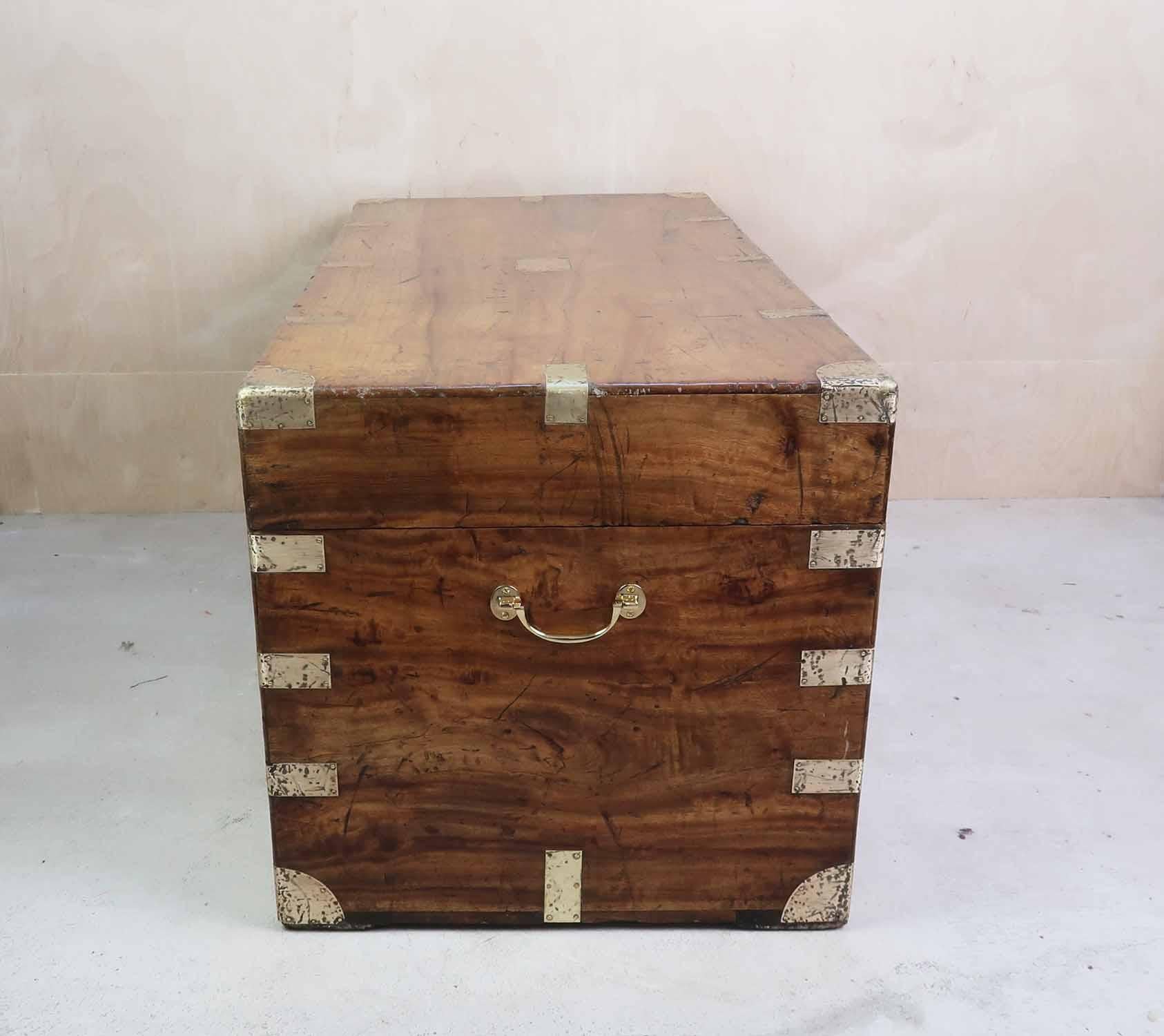 Grande baule antico in legno di canfora, Hong Kong, XIX secolo in vendita 1