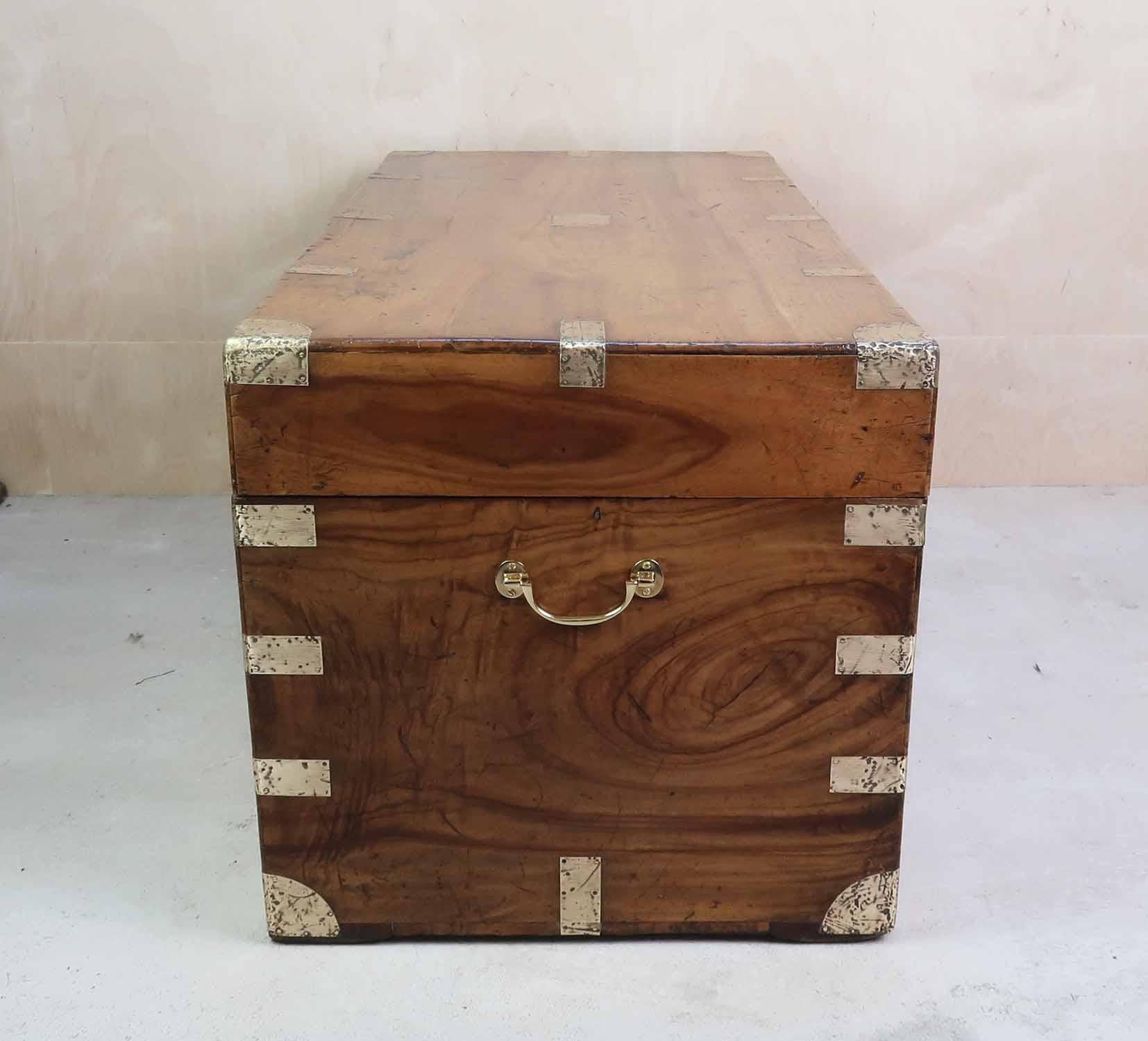 Grande baule antico in legno di canfora, Hong Kong, XIX secolo in vendita 2