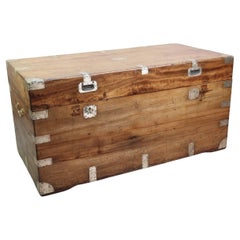 Large Antique Camphor Wood Trunk, Hong Kong, 19th Century
