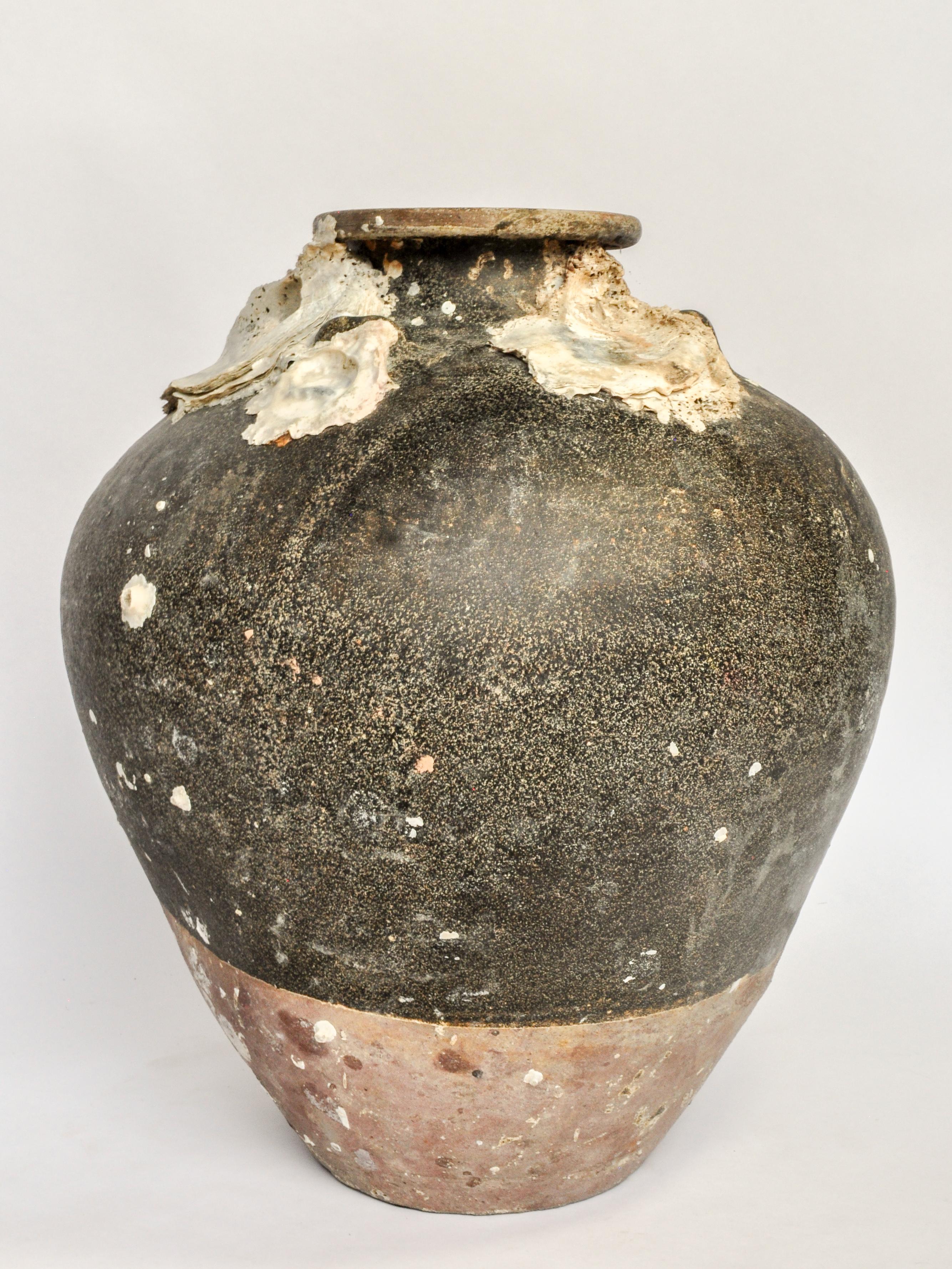 Large Antique Ceramic Jar with Encrustations Thailand 14th-15th Century 7