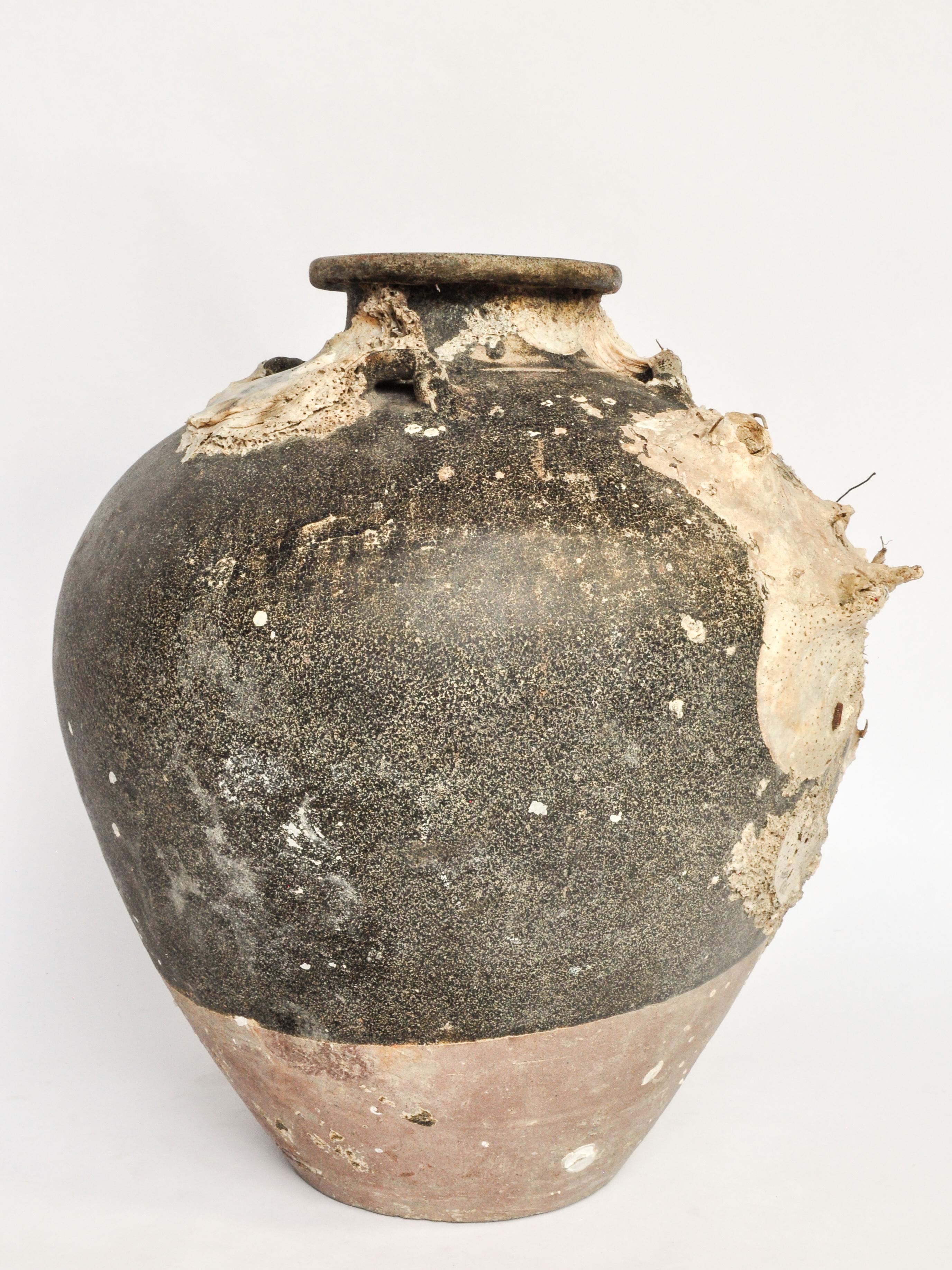 Large Antique Ceramic Jar with Encrustations Thailand 14th-15th Century 9