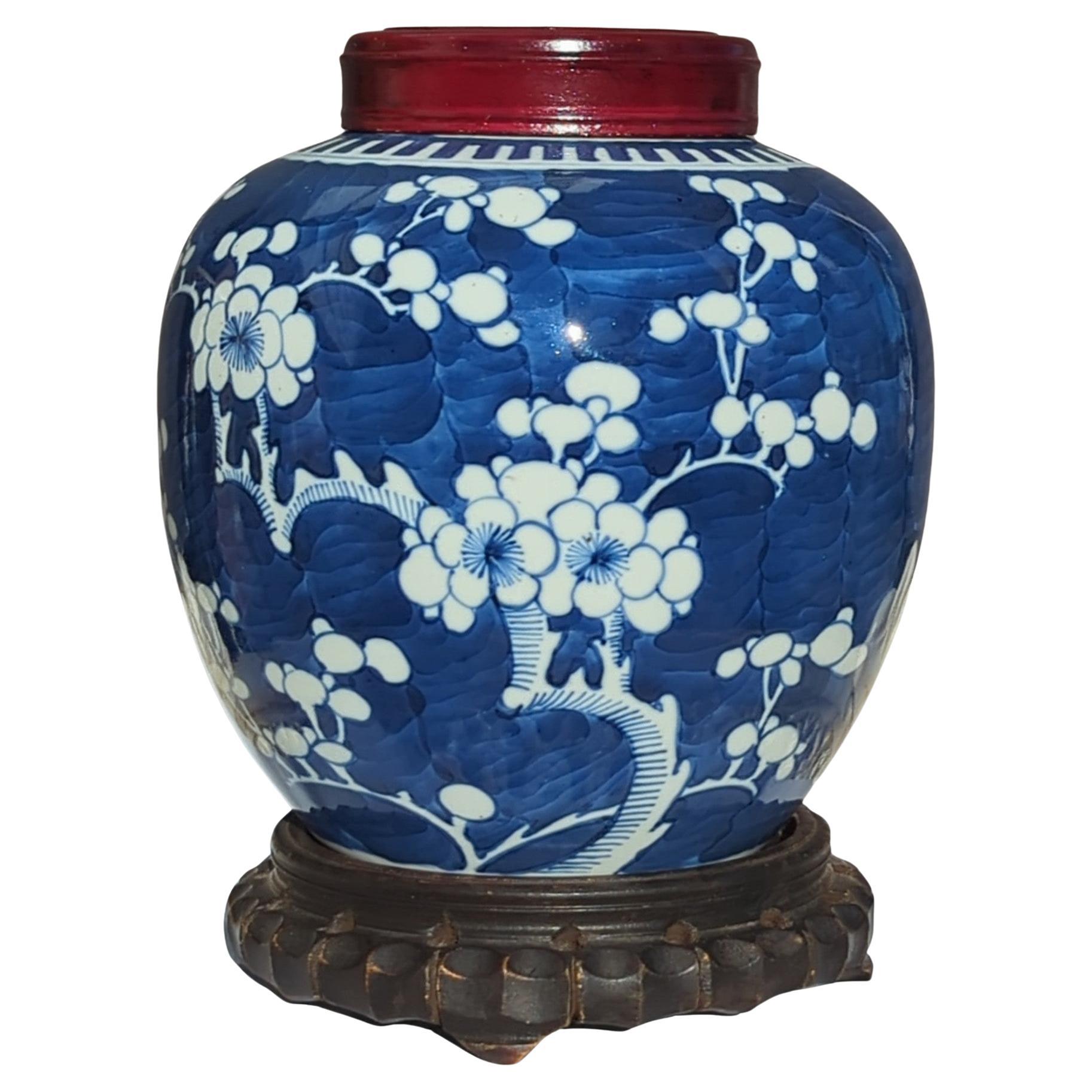 Large Antique Chinese Porcelain Blue White Prunus Ginger Jar 7" Qing 19/20c   For Sale