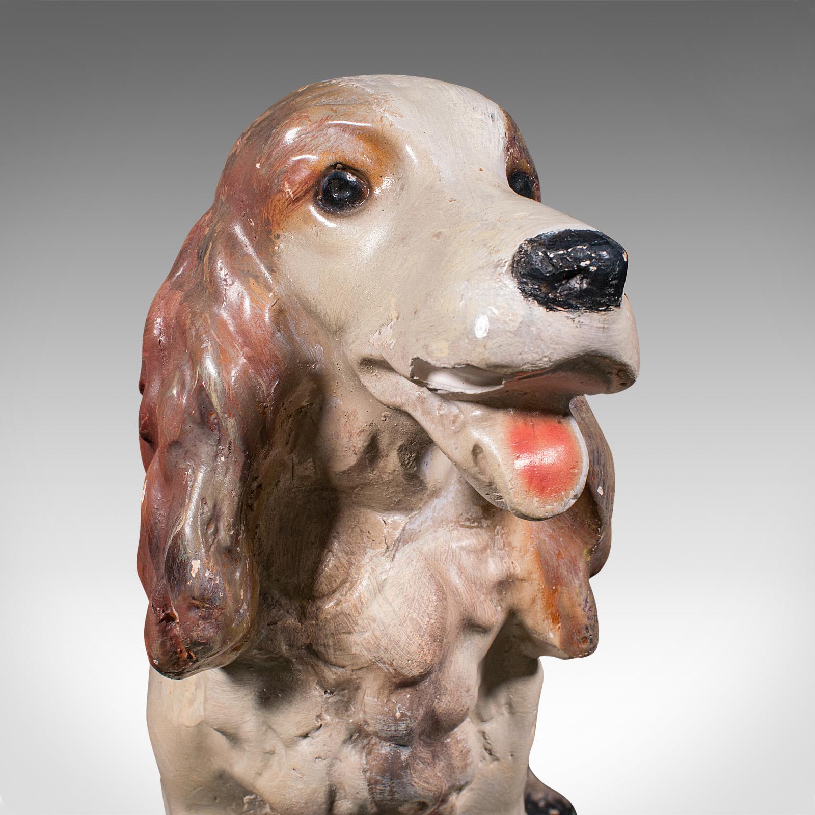 20th Century Large Antique Cocker Spaniel Figure, English, Plaster, Dog Statue, Edwardian For Sale