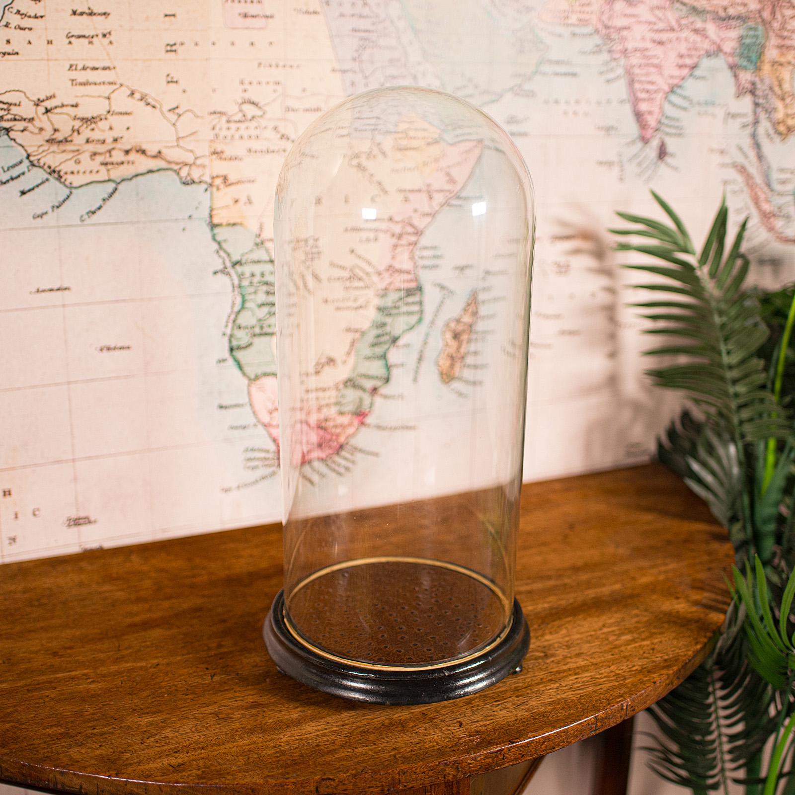 British Large Antique Collector's Dome, English, Glass, Taxidermy, Specimen, Victorian For Sale