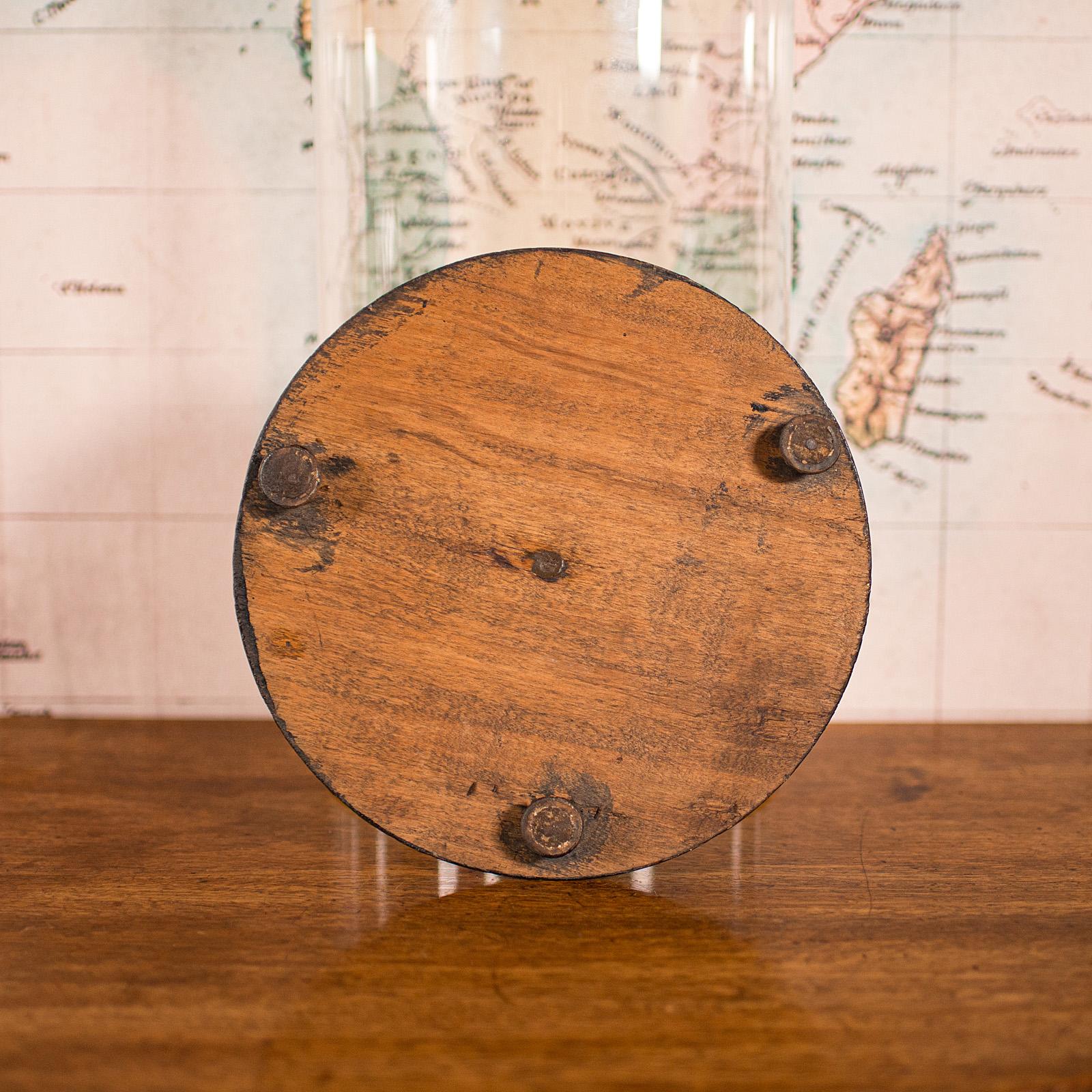 Large Antique Collector's Dome, English, Glass, Taxidermy, Specimen, Victorian For Sale 2