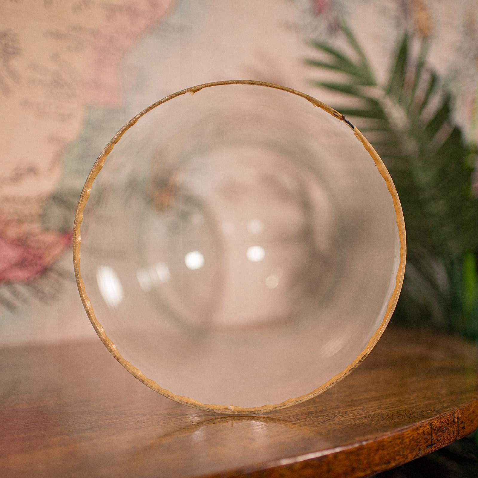 Large Antique Collector's Dome, English, Glass, Taxidermy, Specimen, Victorian For Sale 3