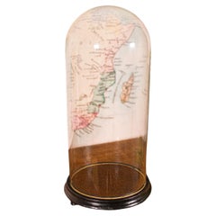 Large Antique Collector's Dome, English, Glass, Taxidermy, Specimen, Victorian