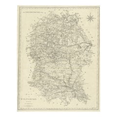 Grande mappa antica della contea di Wiltshire, Inghilterra, 1805