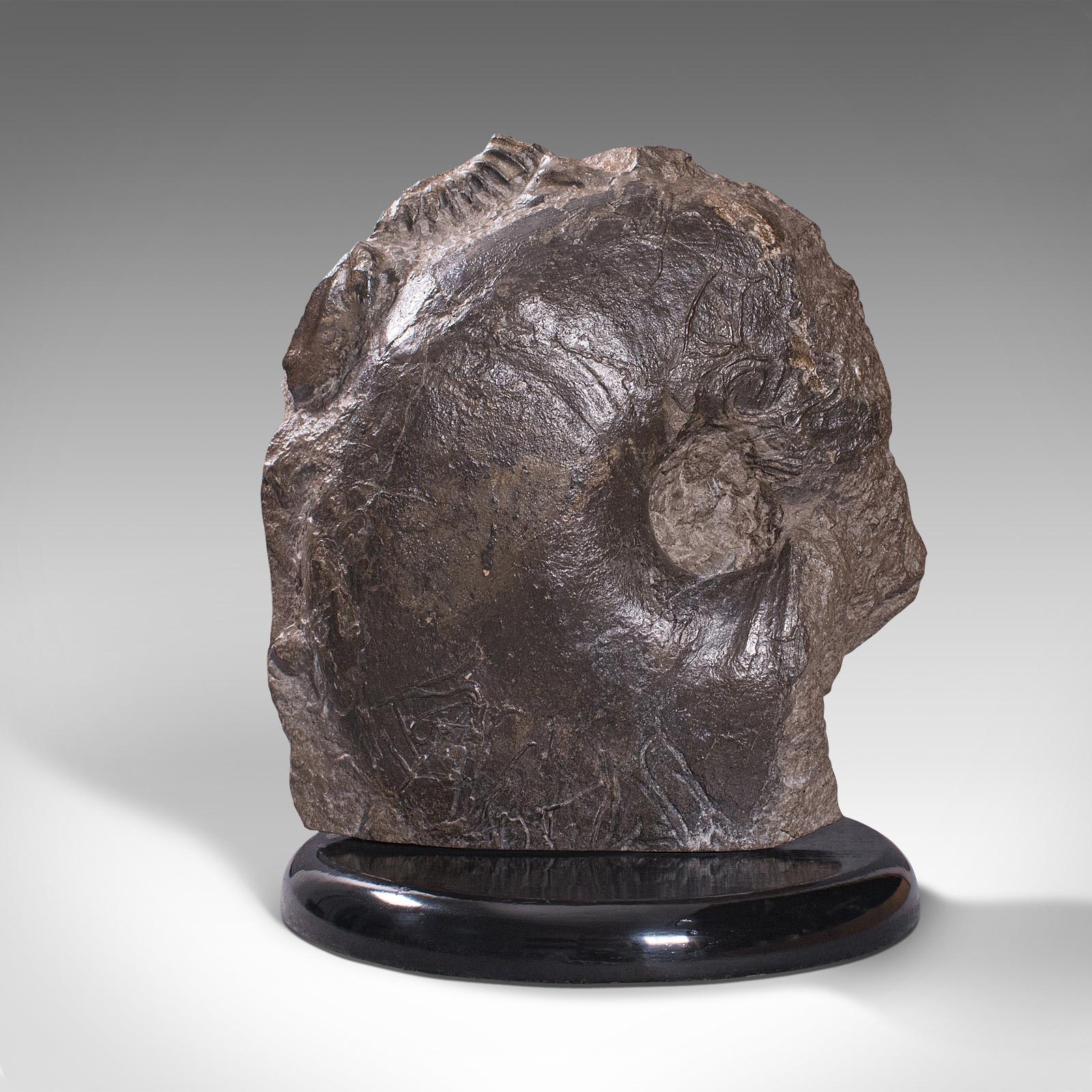 This is a large antique decorative ammonite on plinth. An English, fossilised geological ornamental fossil, dating to the Edwardian period and much, much earlier.

Ammonites evolved in the ocean between 240,000,000 - 65,000,000 years ago and faced
