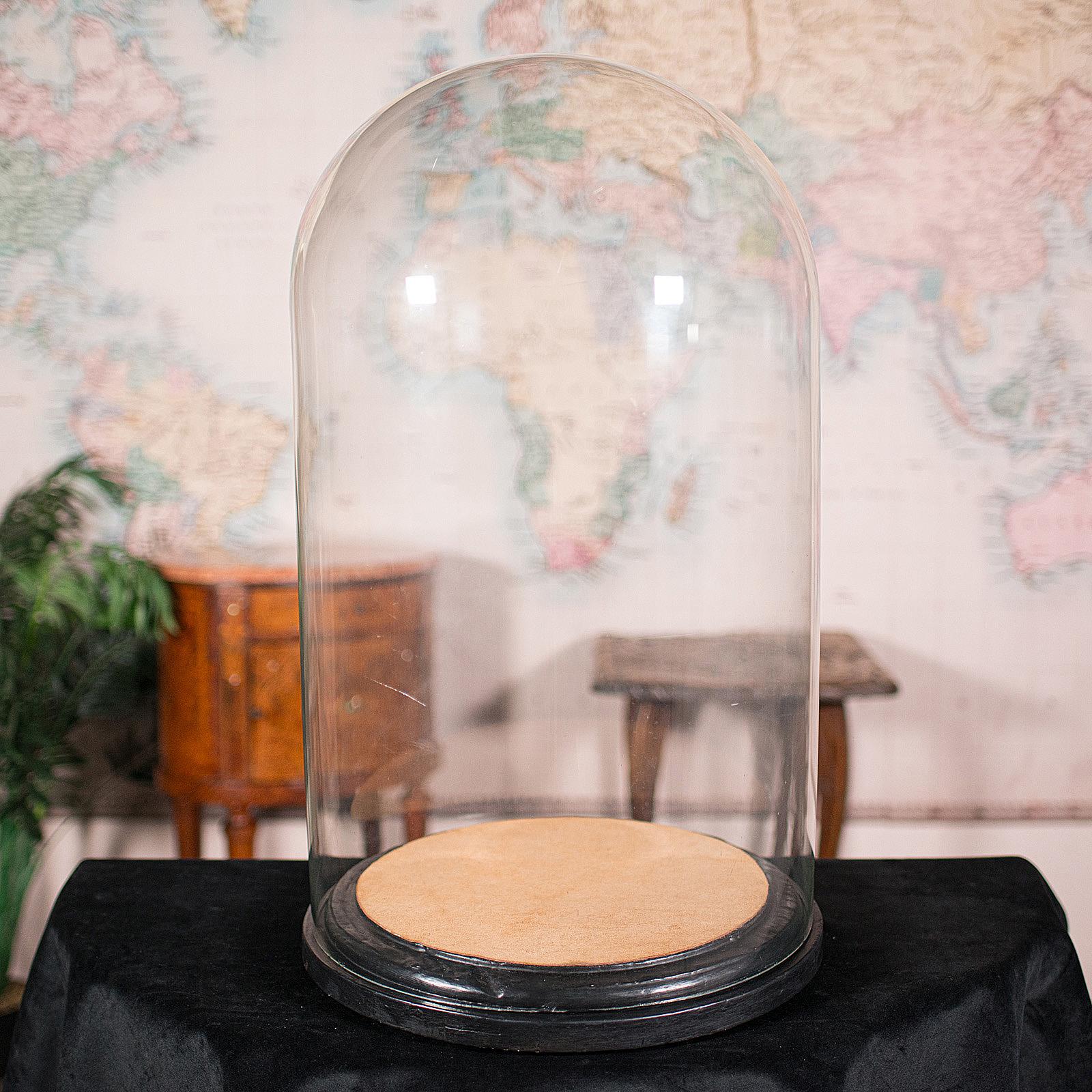 Gran Cúpula de Exhibición Antigua, Inglesa, Cristal, Vitrina de Taxidermia, Victoriana, 1850 Victoriano temprano en venta