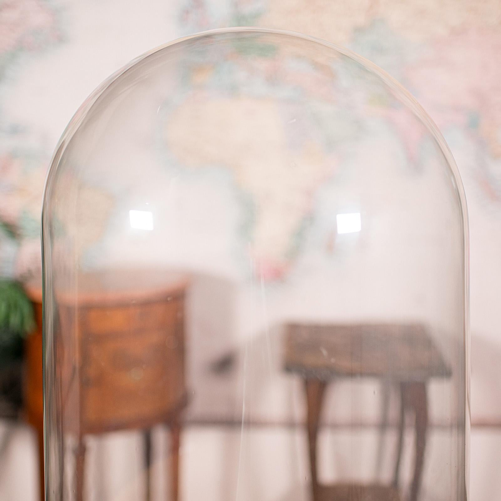 Gran Cúpula de Exhibición Antigua, Inglesa, Cristal, Vitrina de Taxidermia, Victoriana, 1850 Británico en venta