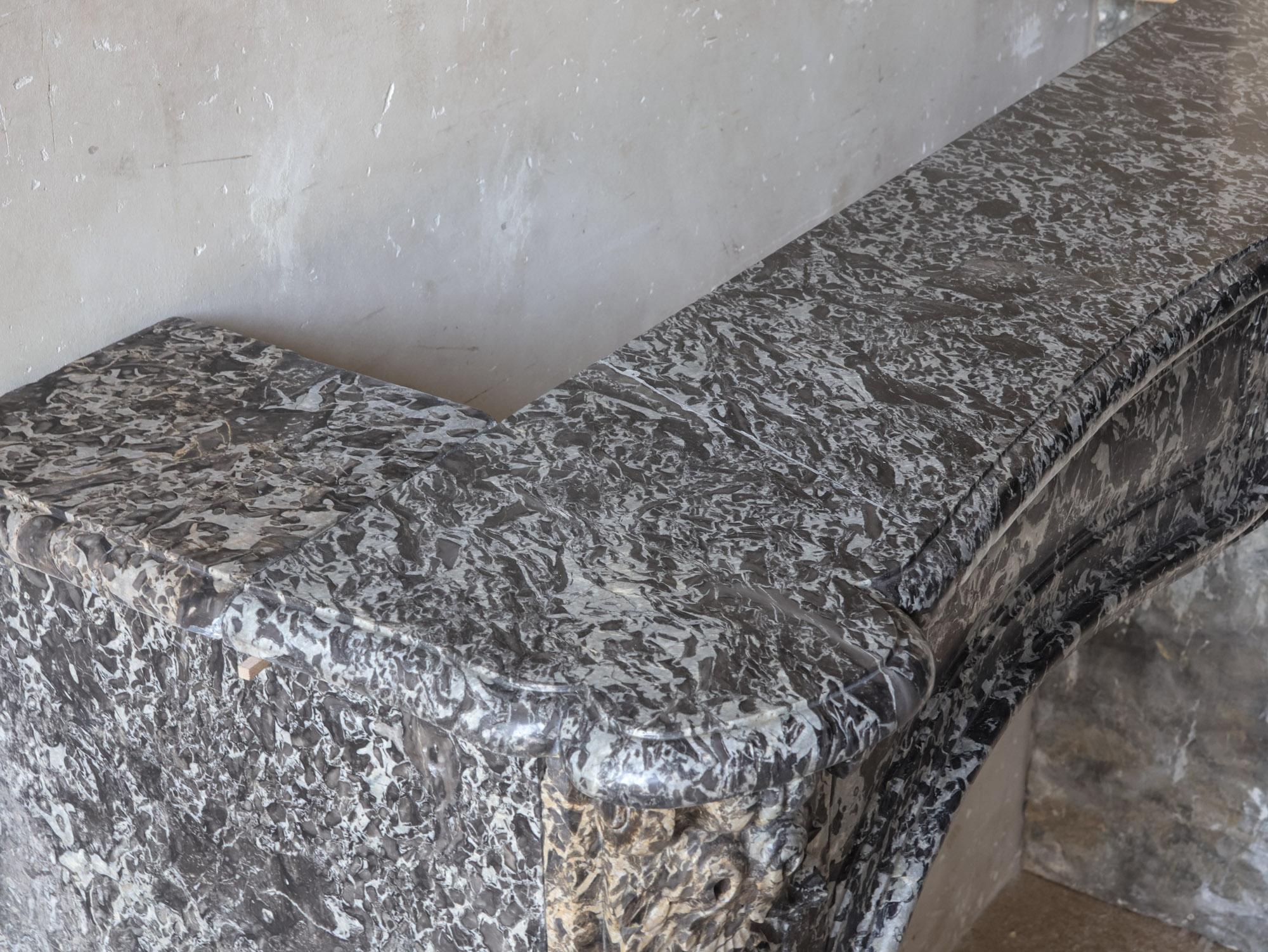 Large antique Dutch Fireplace Mantel in St. Anne marble - 18th/19th Century For Sale 4