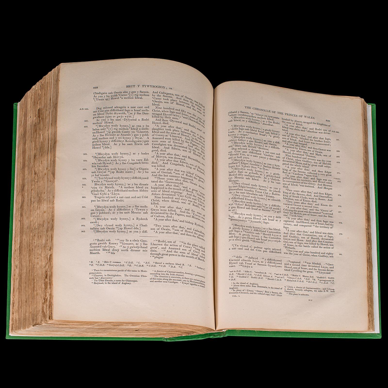 Large Antique Encyclopaedia, Historica Britannica, Multilingual Book, Victorian For Sale 5