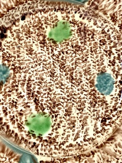 Große antike englische Keramik Whieldon Charger Schildpatt-Glasur 18.