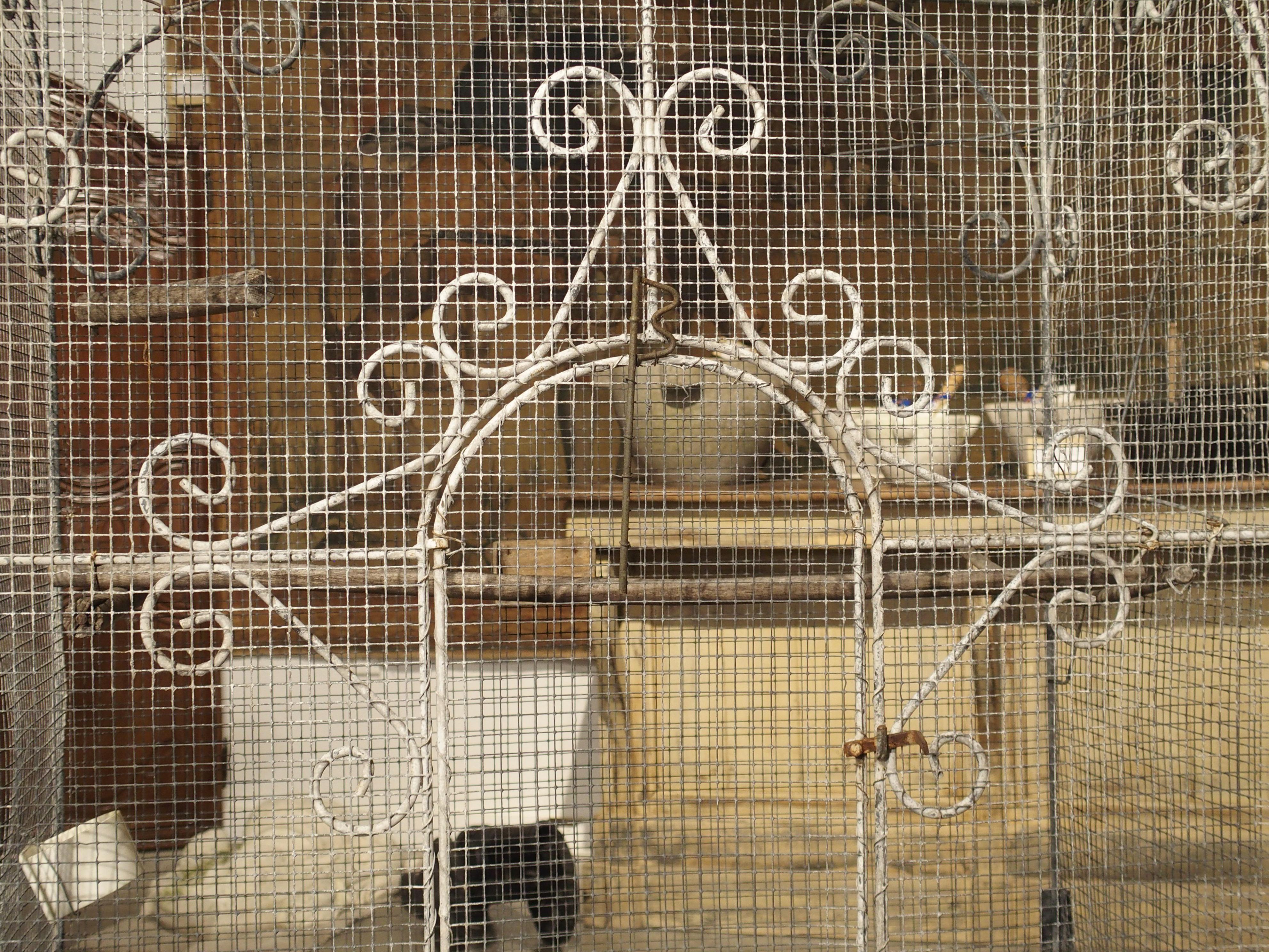 large antique bird cages for sale