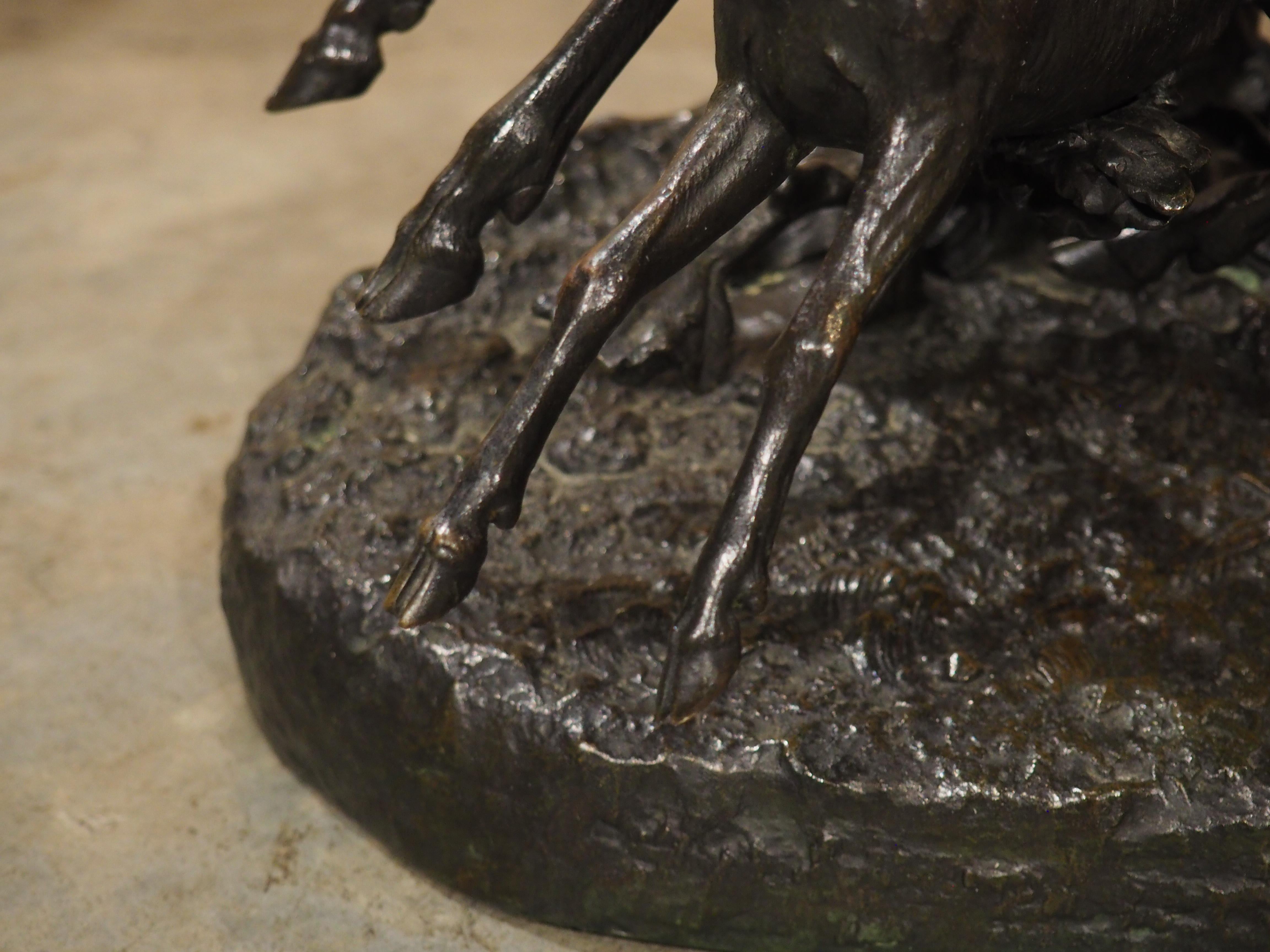 Grande sculpture française ancienne, cerf beauoyant, biche et fauve, fin des années 1800 en vente 3