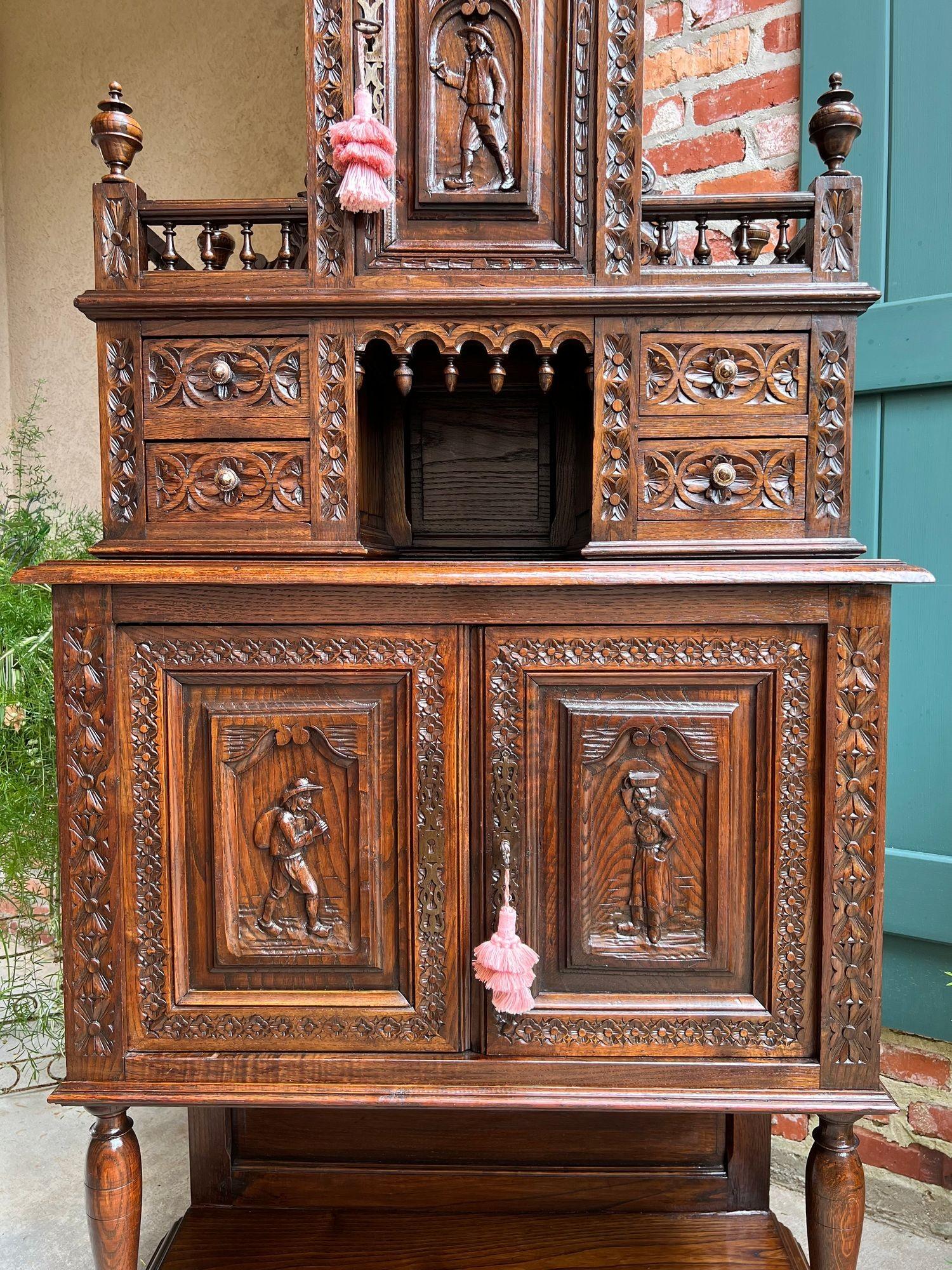 Late 19th Century LARGE Antique French Carved Cabinet Bookcase Breton Brittany Display China c1890 For Sale