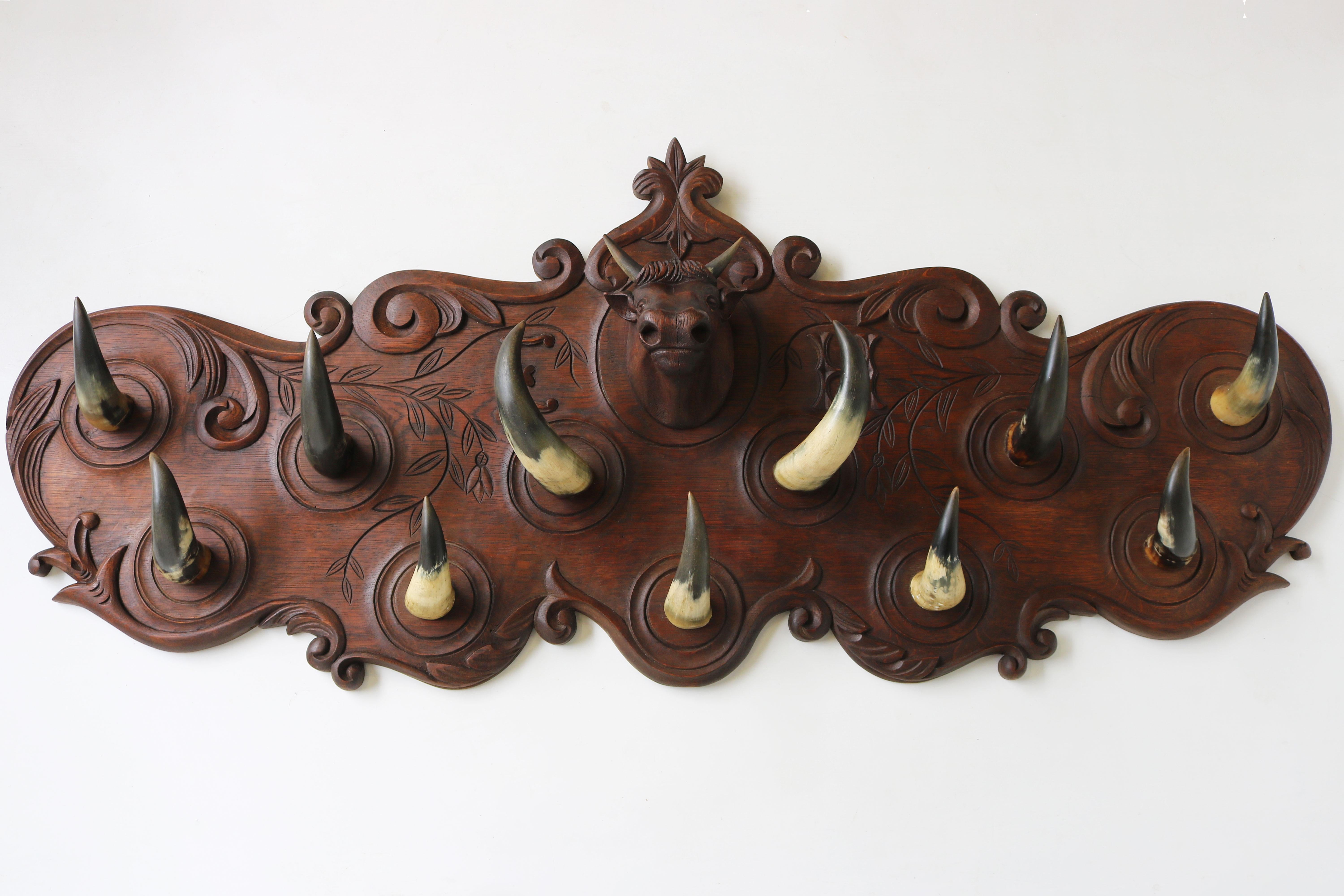 Large Antique French Carved Oak Coat Rack with Cow Head 1900 Bull / Cow Horns 1