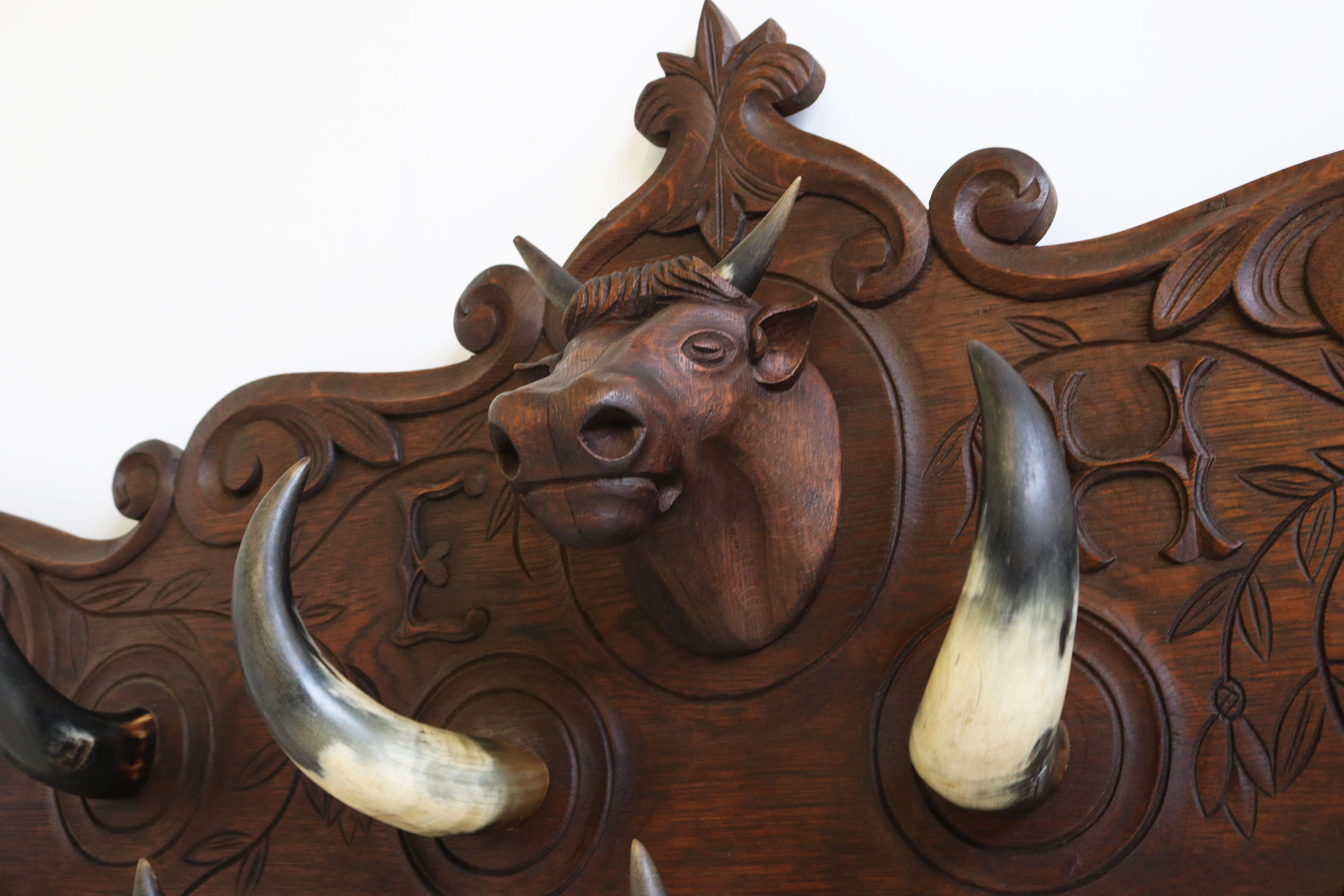 Large Antique French Carved Oak Coat Rack with Cow Head 1900 Bull / Cow Horns 2