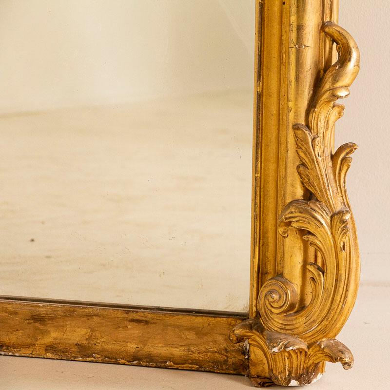 19th Century Large Antique French Gold Gilt Mirror