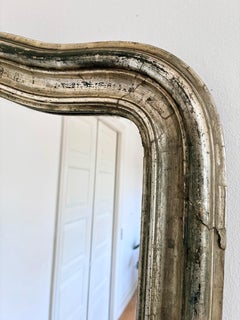 Grand Antique French Louis Philippe Full-Length Giltwood Mirror, Late 19th Centu