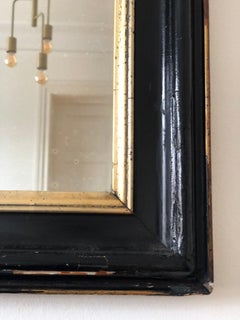 Großer Antique French Louis Philippe Ganzkörperspiegel, aus dem späten 19.